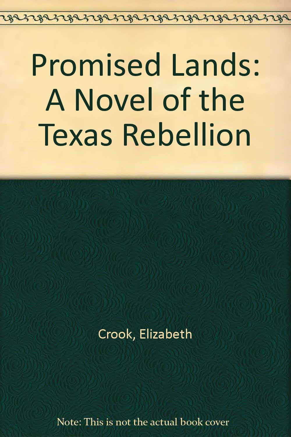 Promised Lands: A Novel of the Texas Reb used book depot