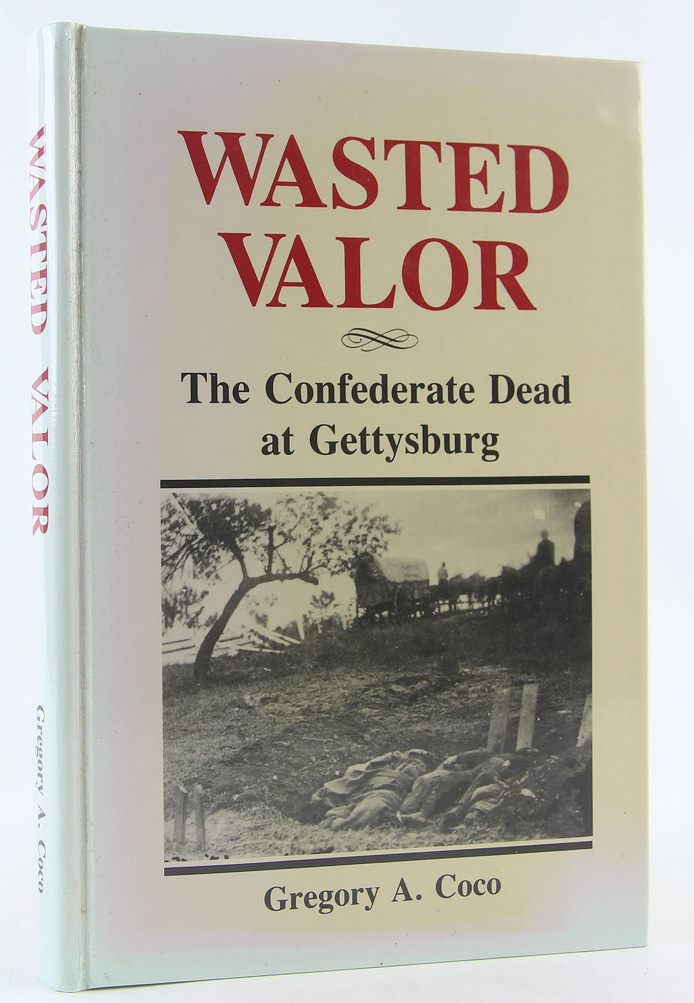 Wasted Valor: The Confederate Dead at Gettysburg used book depot