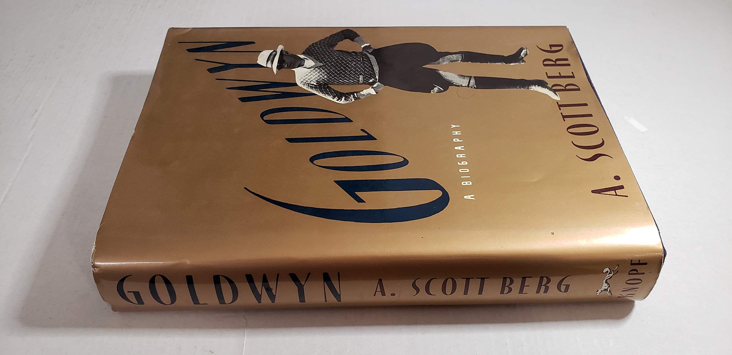 Goldwyn used book depot