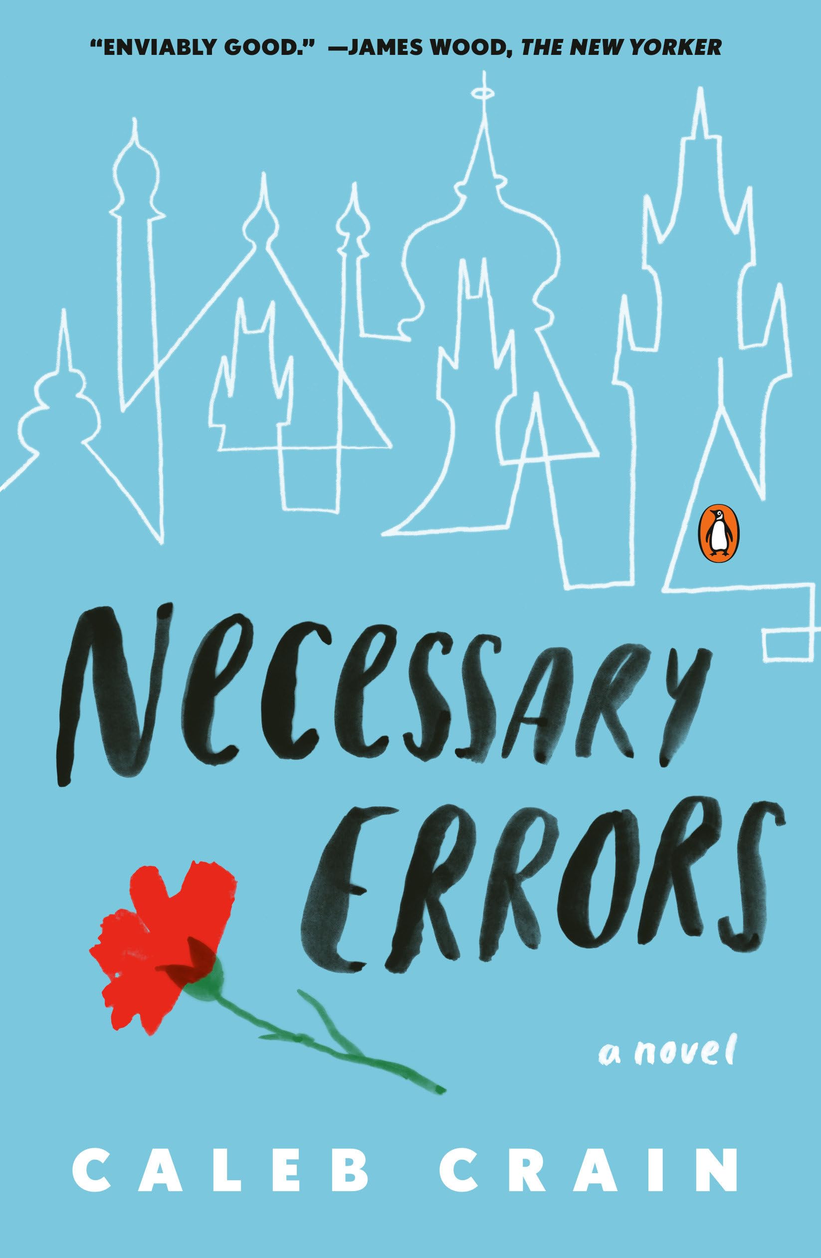 Necessary Errors: A Novel used book depot