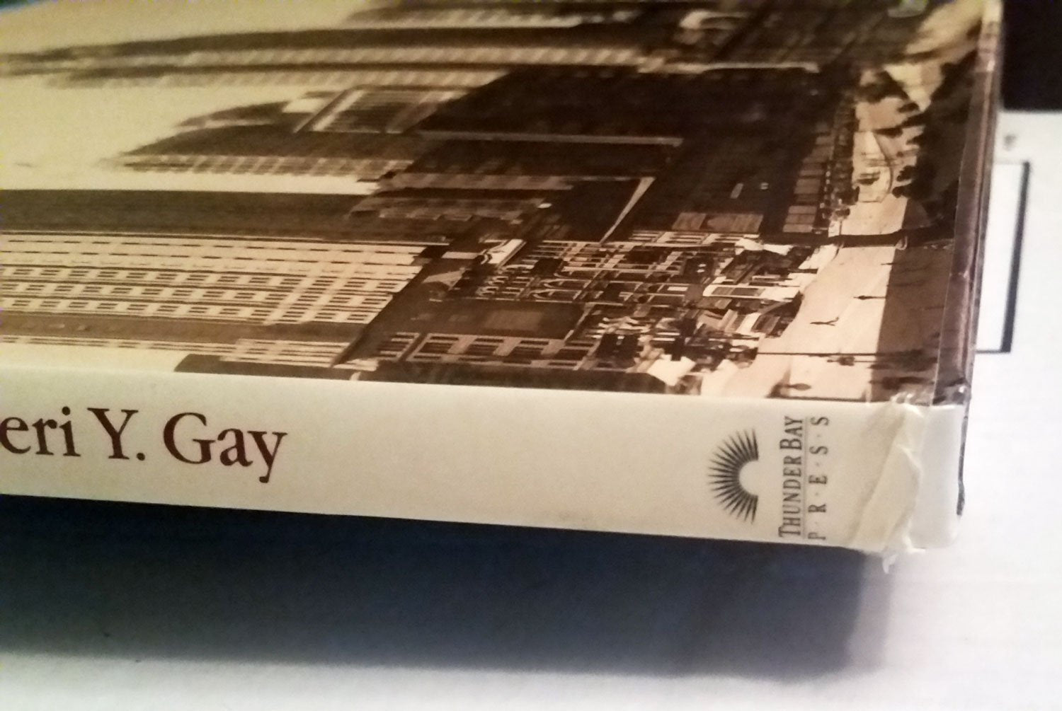 Detroit Then and Now (Then & Now) used book depot