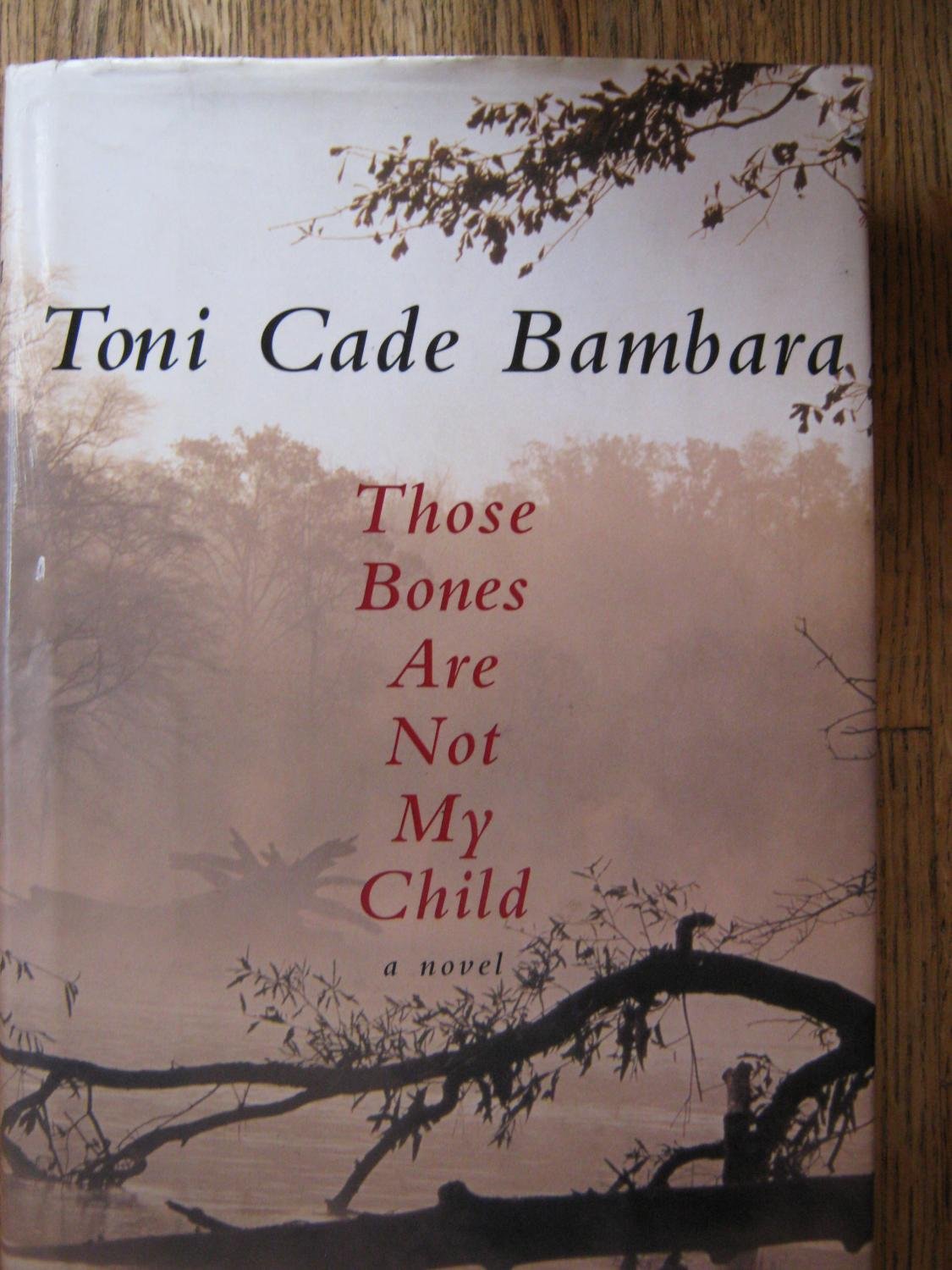 Those Bones Are Not My Child: A novel used book depot