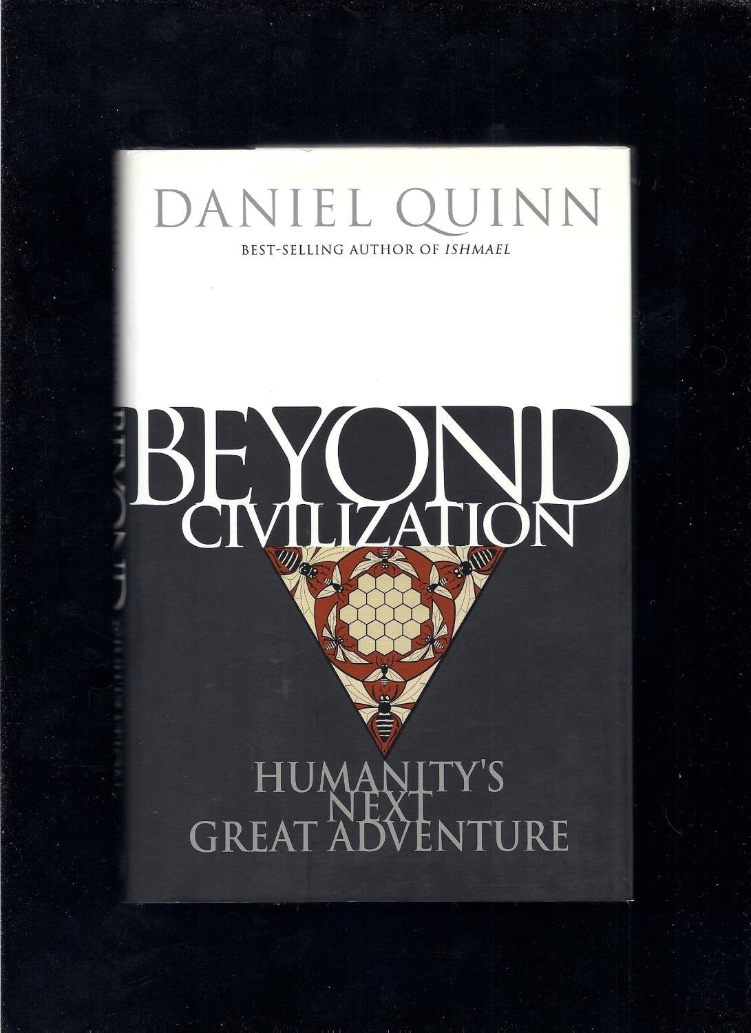 Beyond Civilization: Humanity's Next Great Adventure used book depot