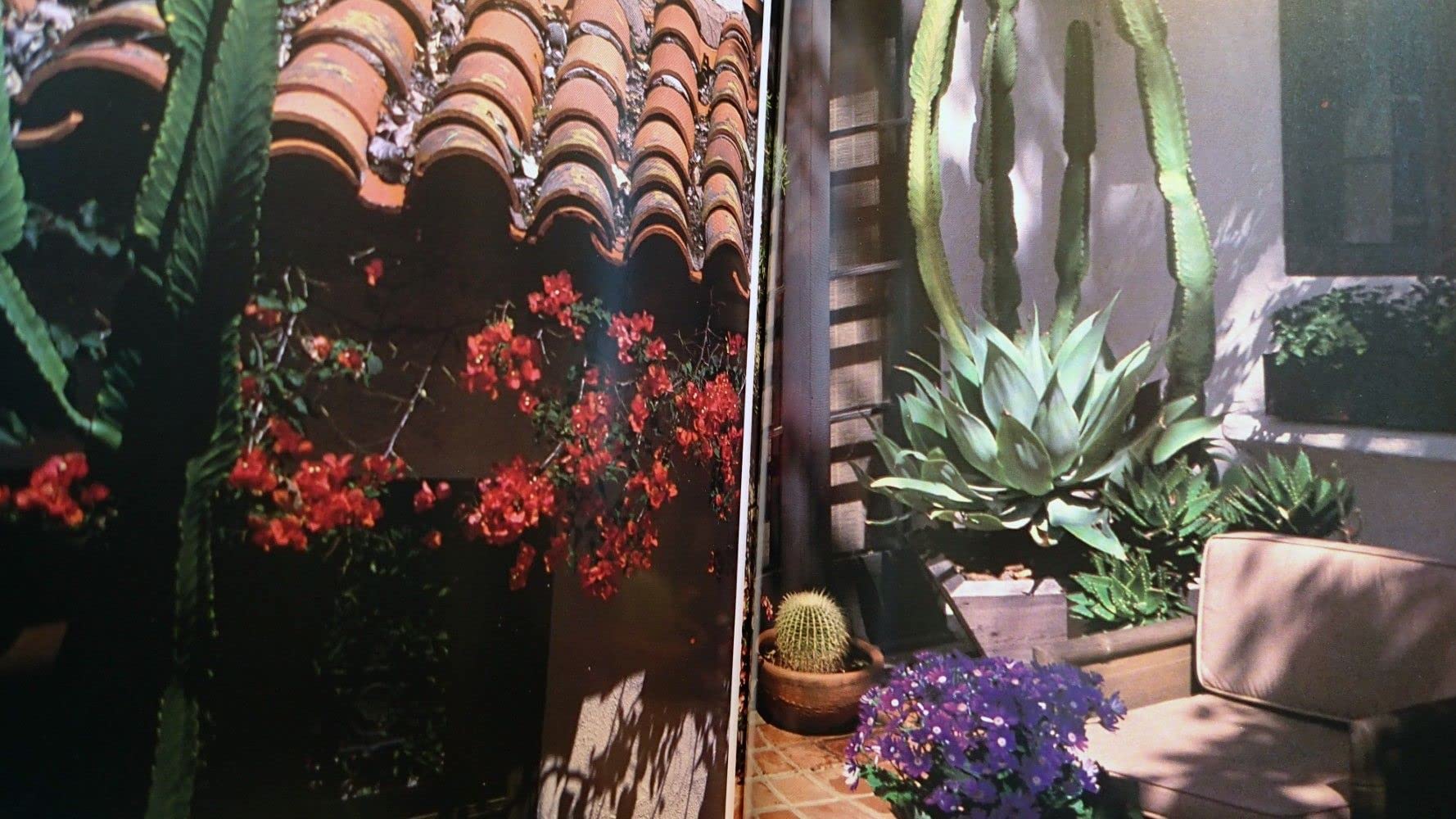 The Desert Southwest: (American Design) used book depot