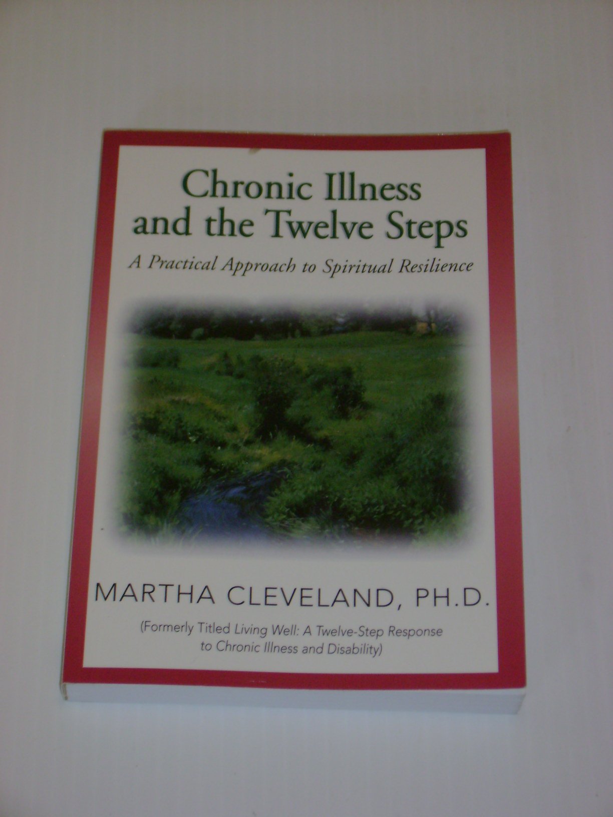 Chronic Illness and the Twelve Steps: A Practical Approach to Spiritual Resilience used book depot