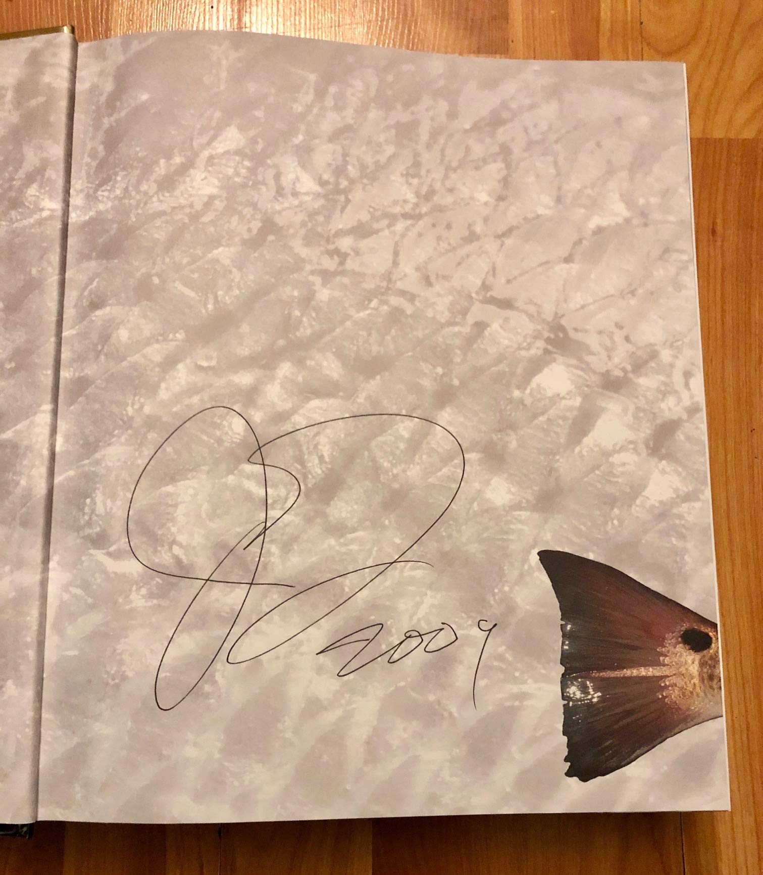 Hooks, Lies & Alibis: Louisiana's Authoritative Collection of Game Fish & Seafood Cookery by John D. Folse, Michaela York (2009) Hardcover used book depot