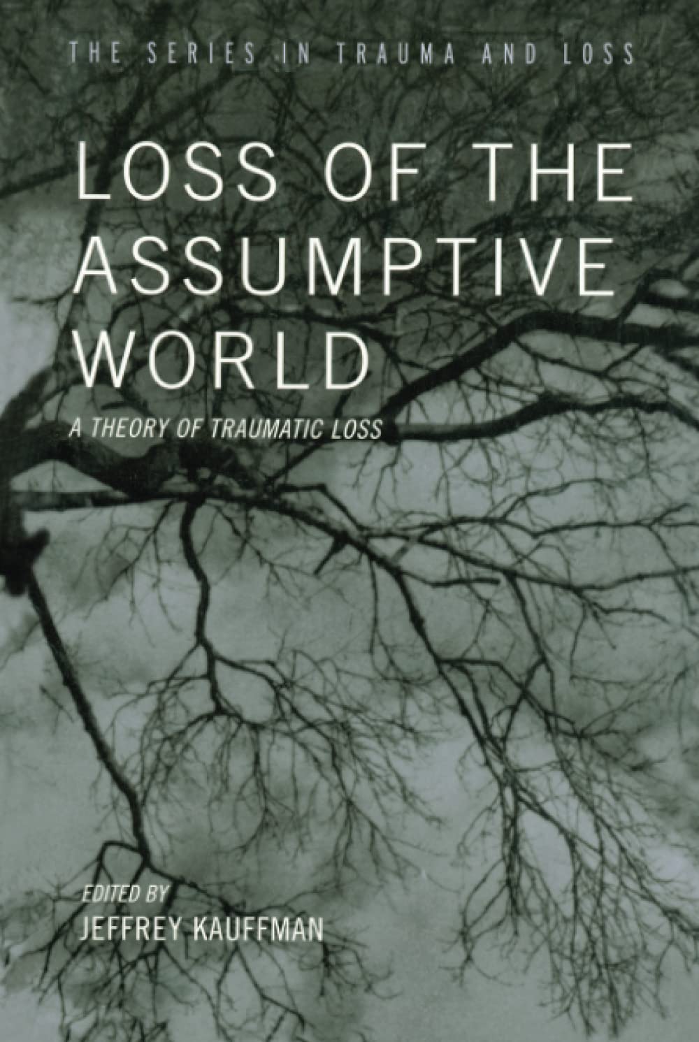 Loss of the Assumptive World (Series in Trauma and Loss) used book depot