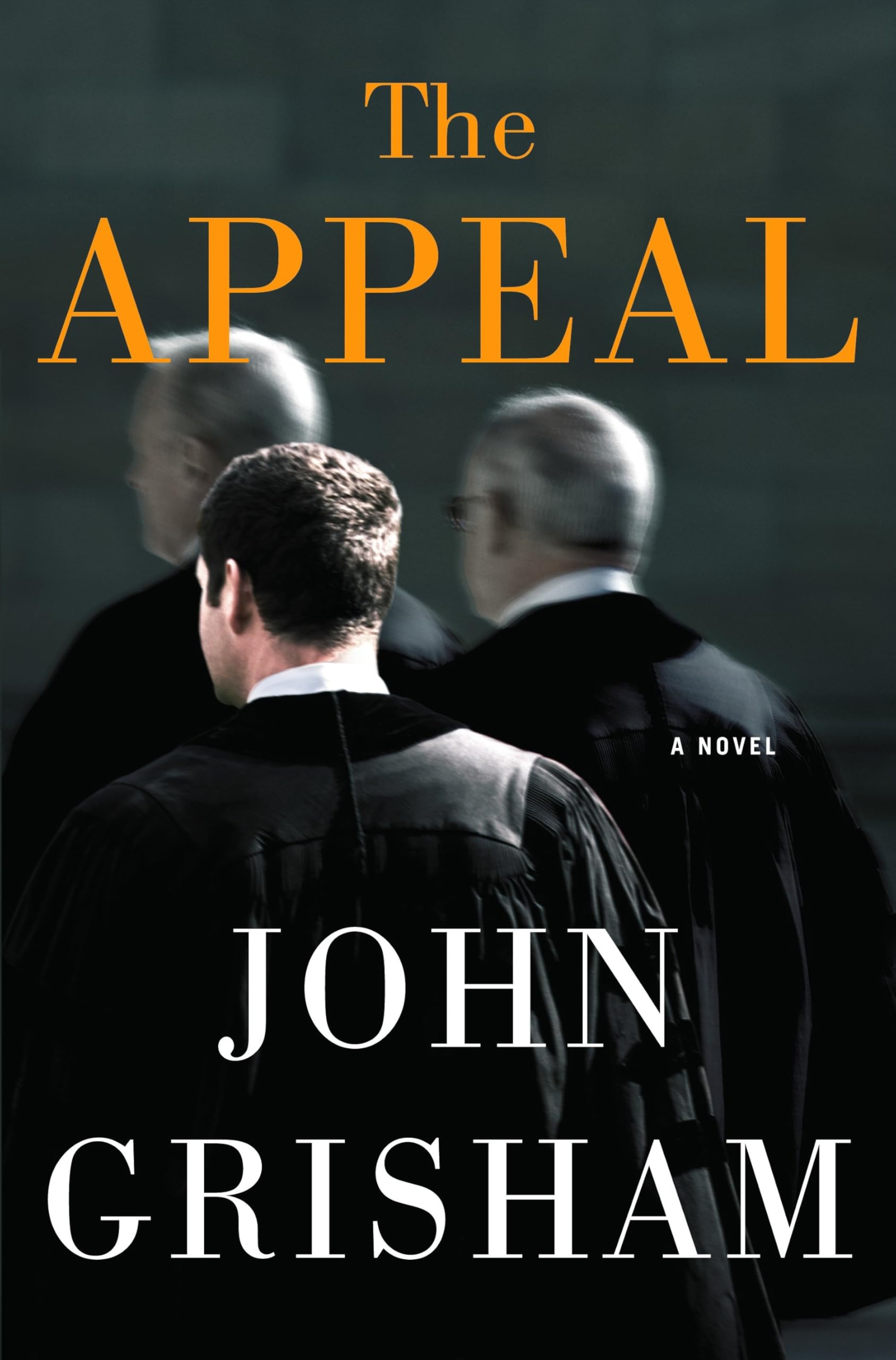 The Appeal: A Novel used book depot