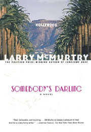 Somebody's Darling : A Novel used book depot