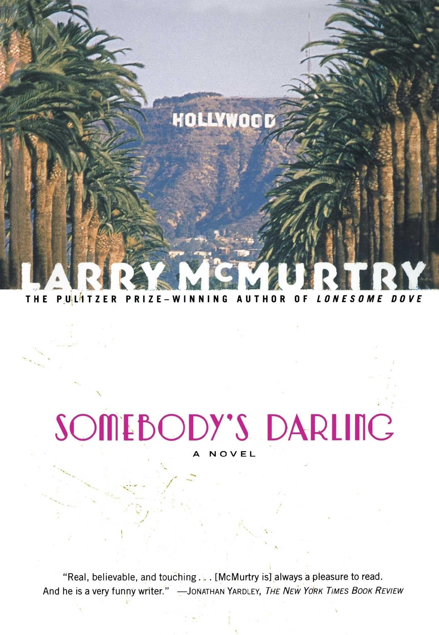 Somebody's Darling : A Novel used book depot