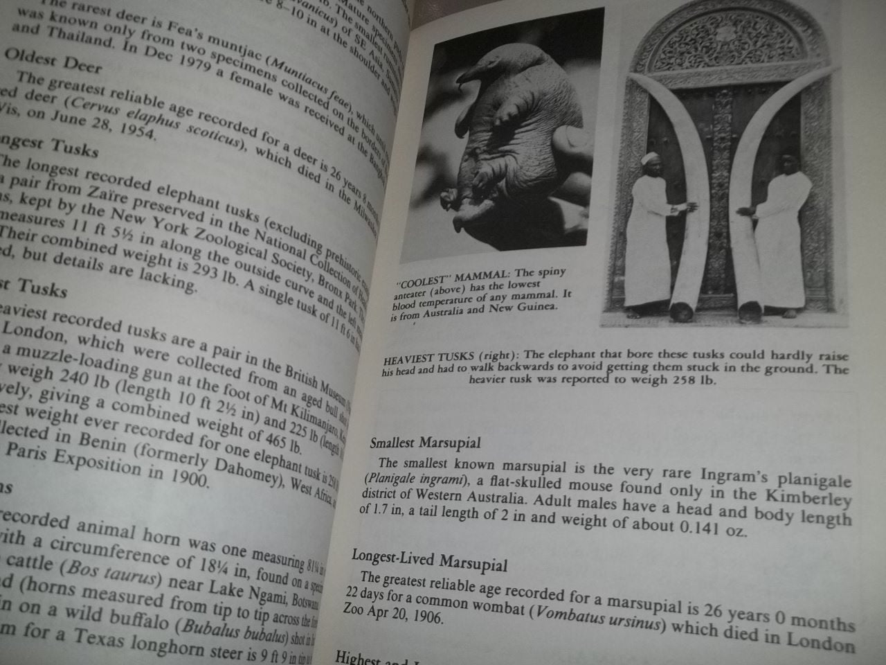 Guinness Book of World Records 1982 used book depot