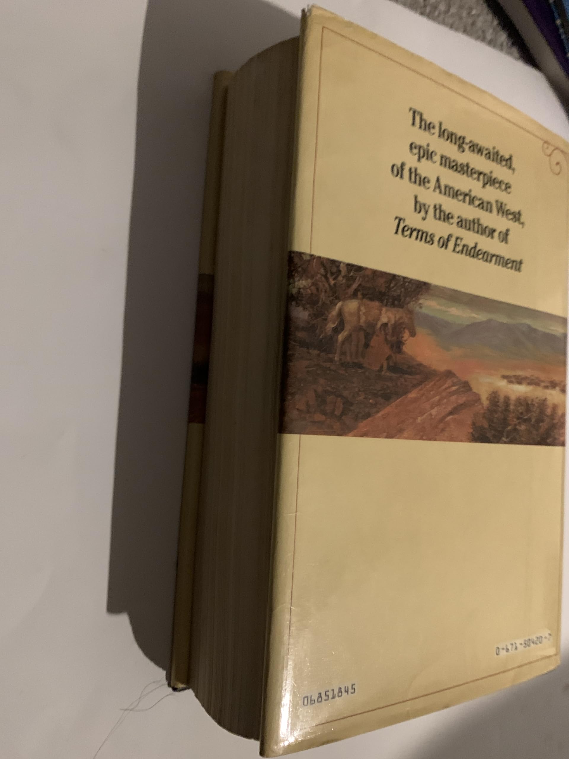 Lonesome Dove used book depot