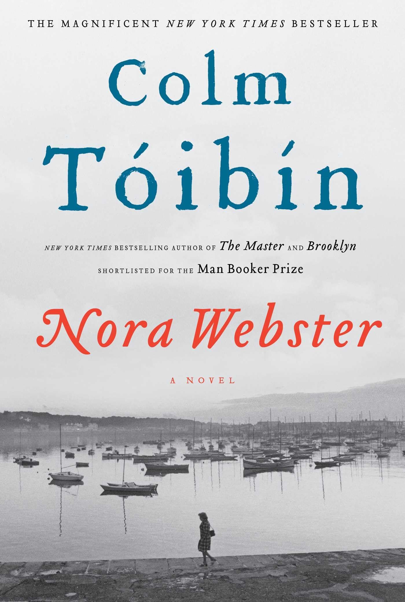Nora Webster: A Novel used book depot
