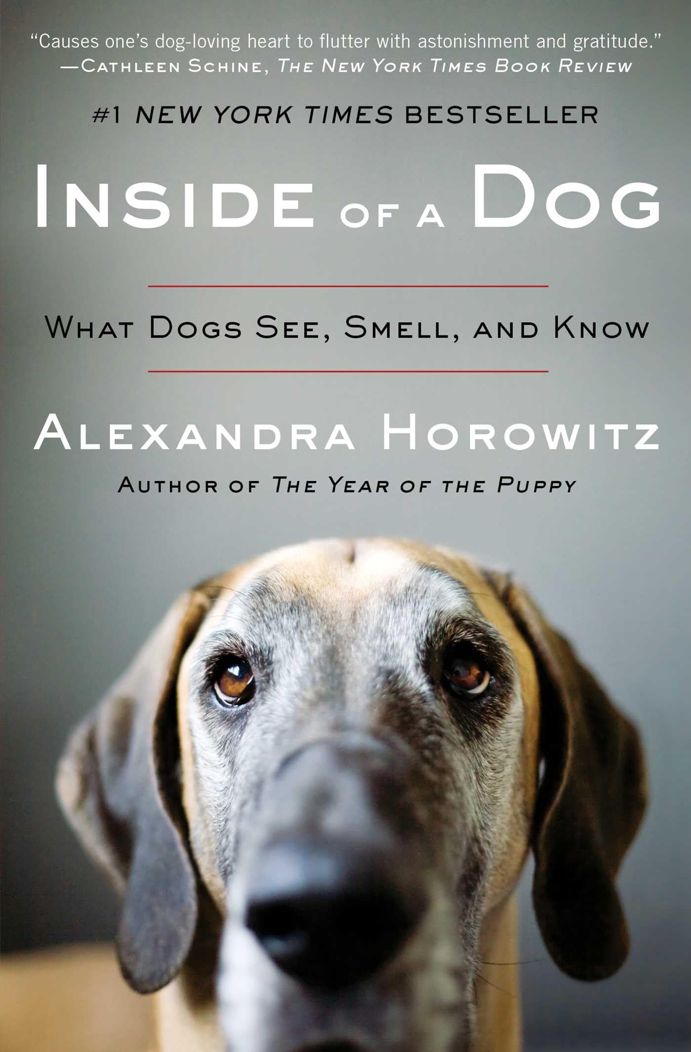 Inside of a Dog: What Dogs See, Smell, and Know used book depot