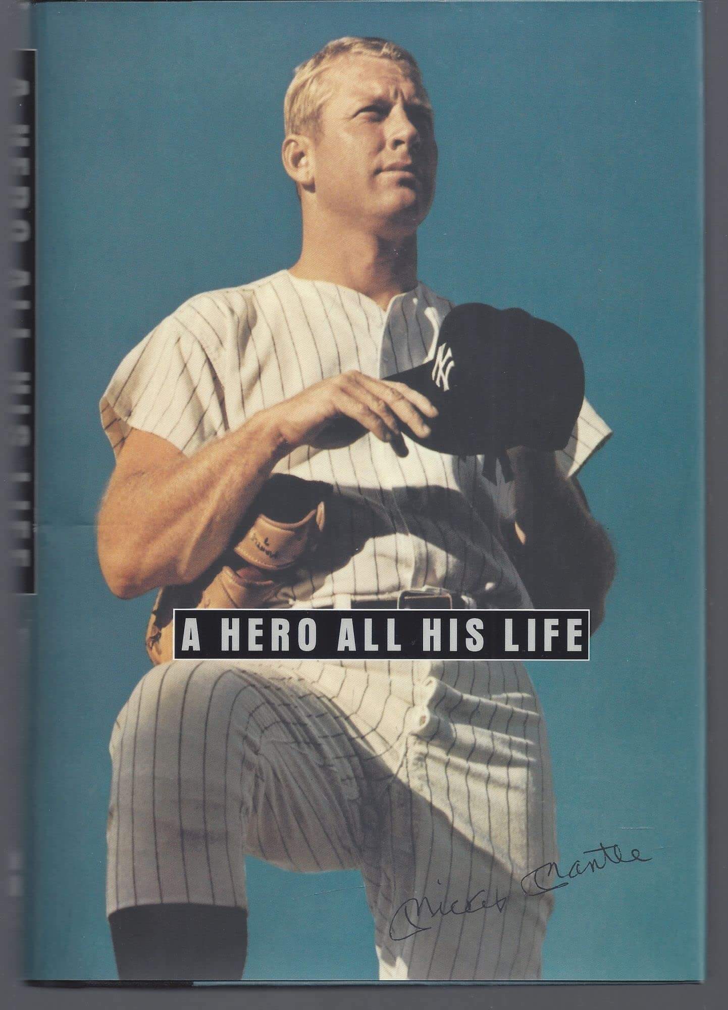A Hero All His Life: Merlyn, Mickey Jr., David, and Dan Mantle : A Memoir by the Mantle Family used book depot