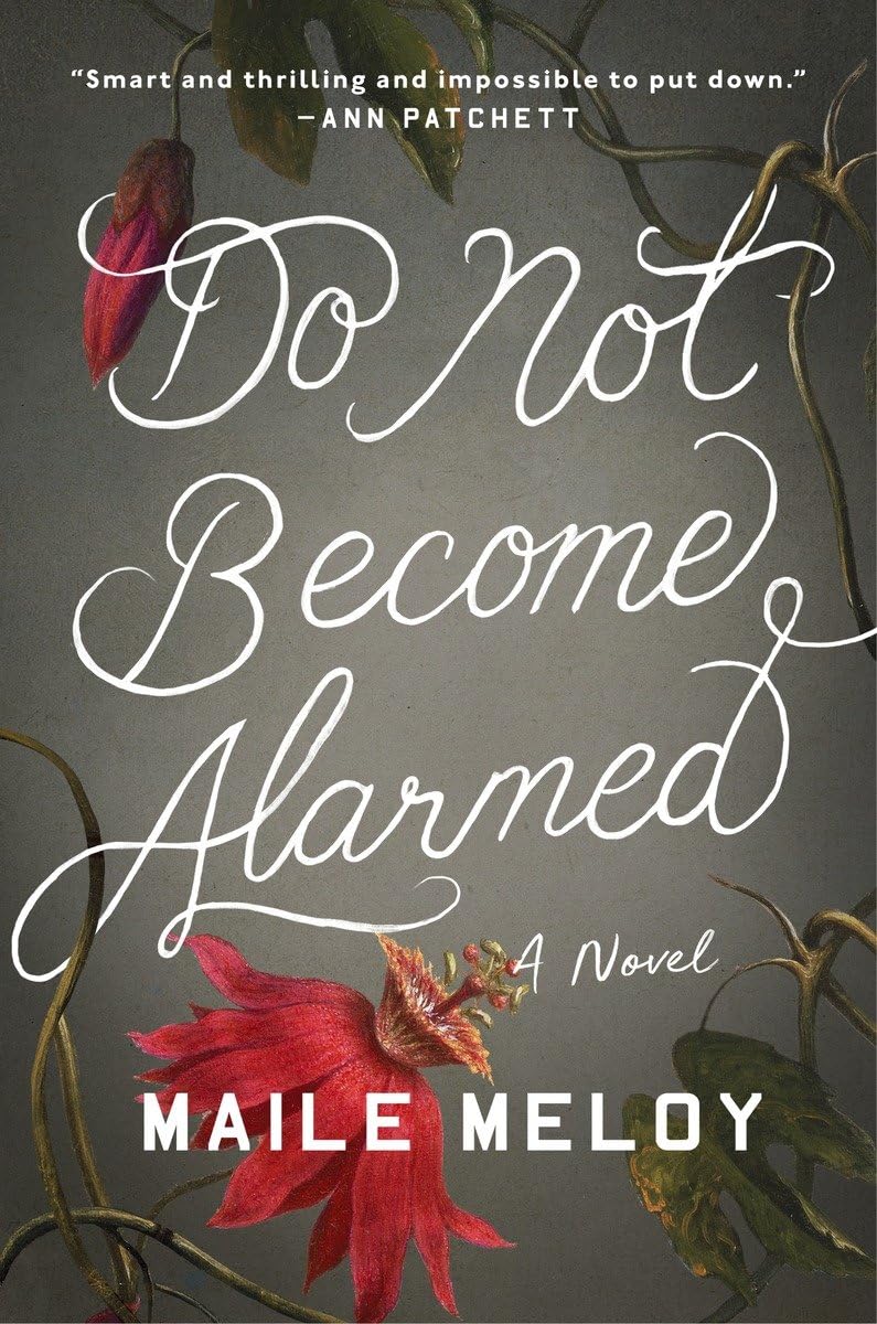 Do Not Become Alarmed: A Novel used book depot