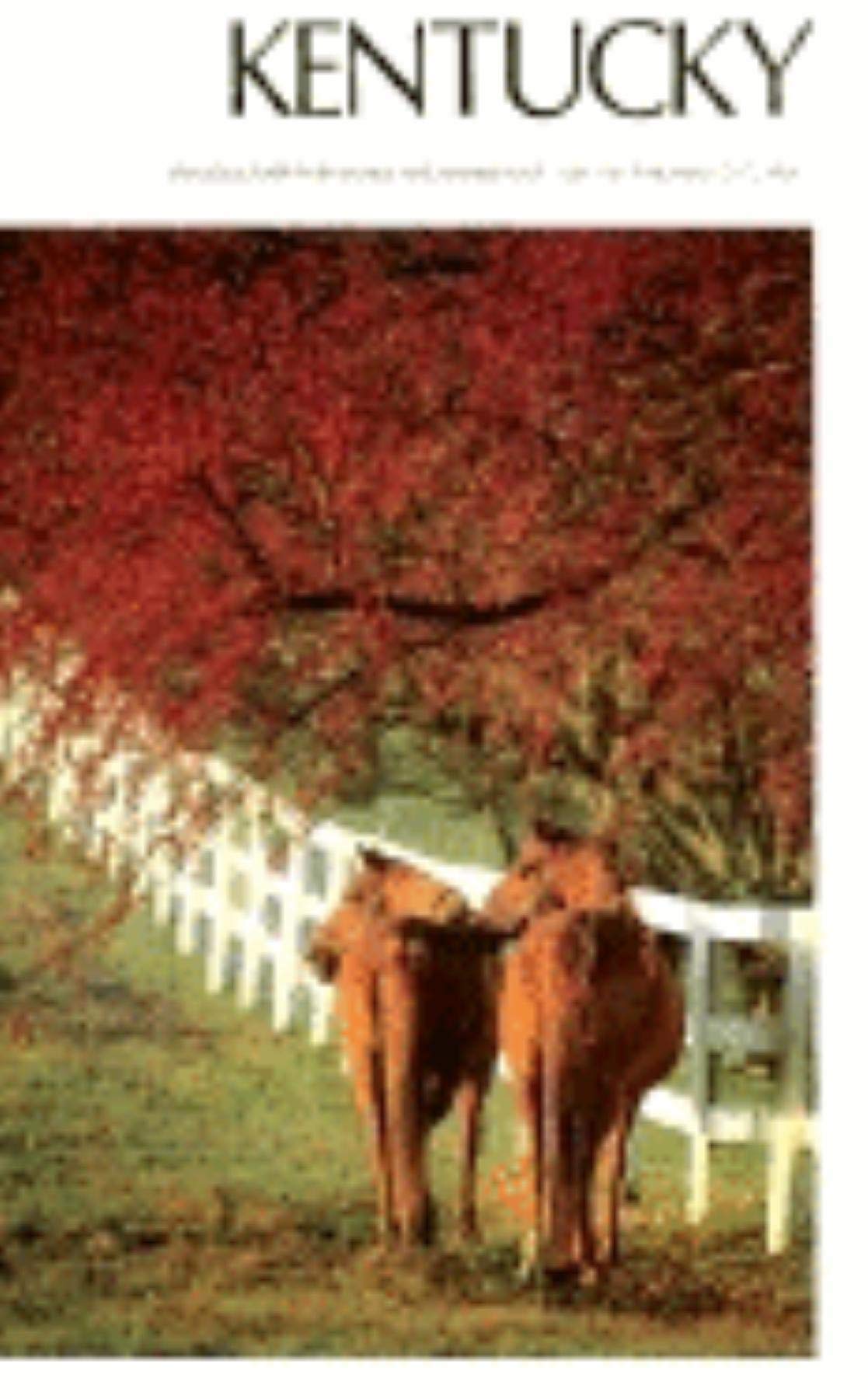 Kentucky used book depot