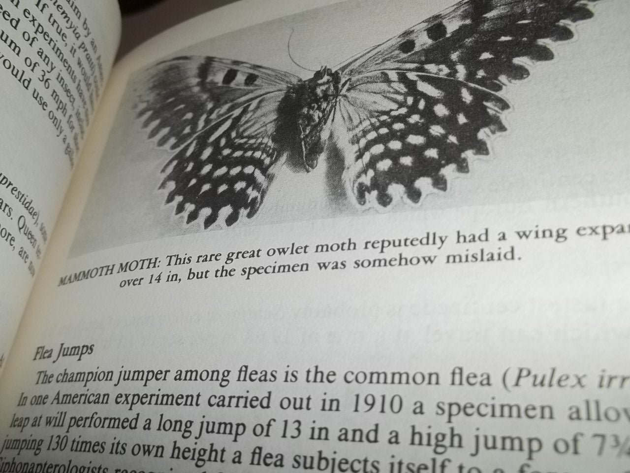 Guinness Book of World Records 1982 used book depot