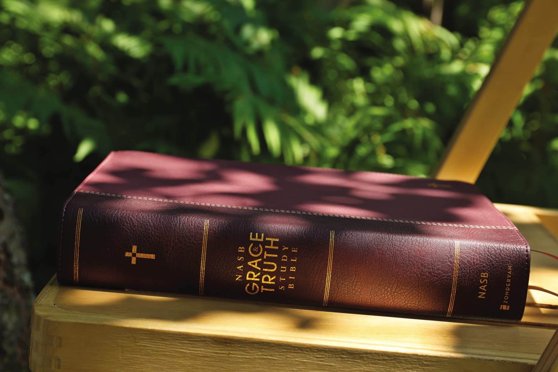 NASB, The Grace and Truth Study Bible (Trustworthy and Practical Insights), Large Print, Leathersoft, Maroon, Red Letter, 1995 Text, Comfort Print used book depot