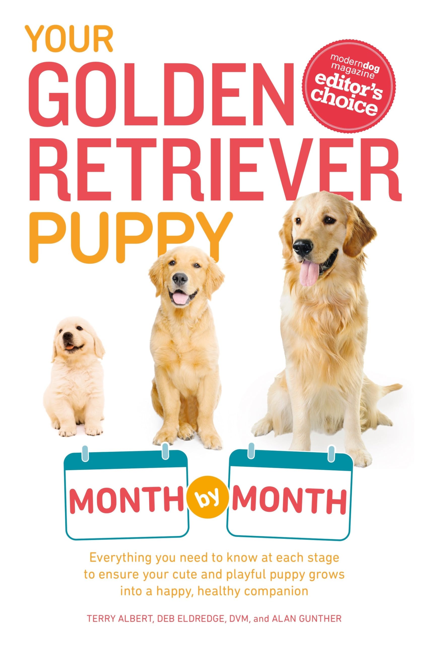 Your Golden Retriever Puppy Month by Month: Everything You Need to Know at Each Stage to Ensure Your Cute and Playful Puppy (Your Puppy Month by Month) used book depot