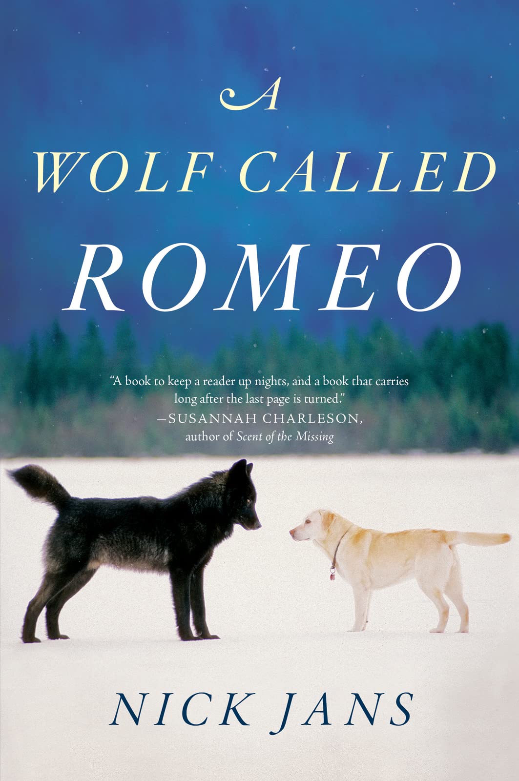 A Wolf Called Romeo used book depot