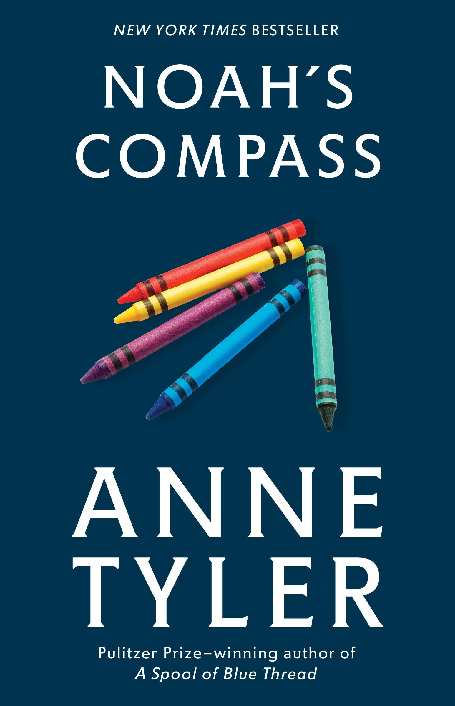 Noah's Compass: A Novel used book depot