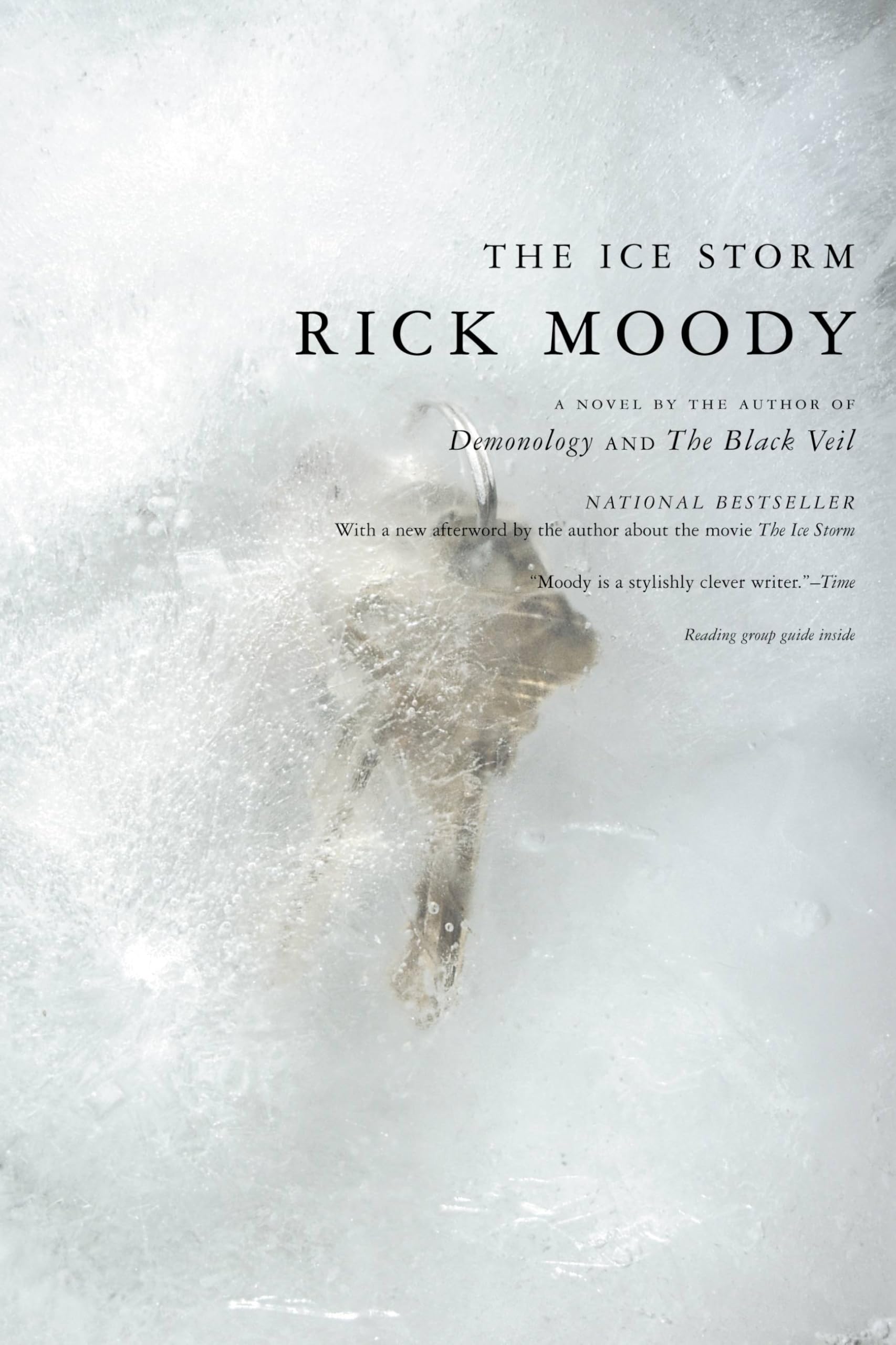 The Ice Storm: A Novel used book depot