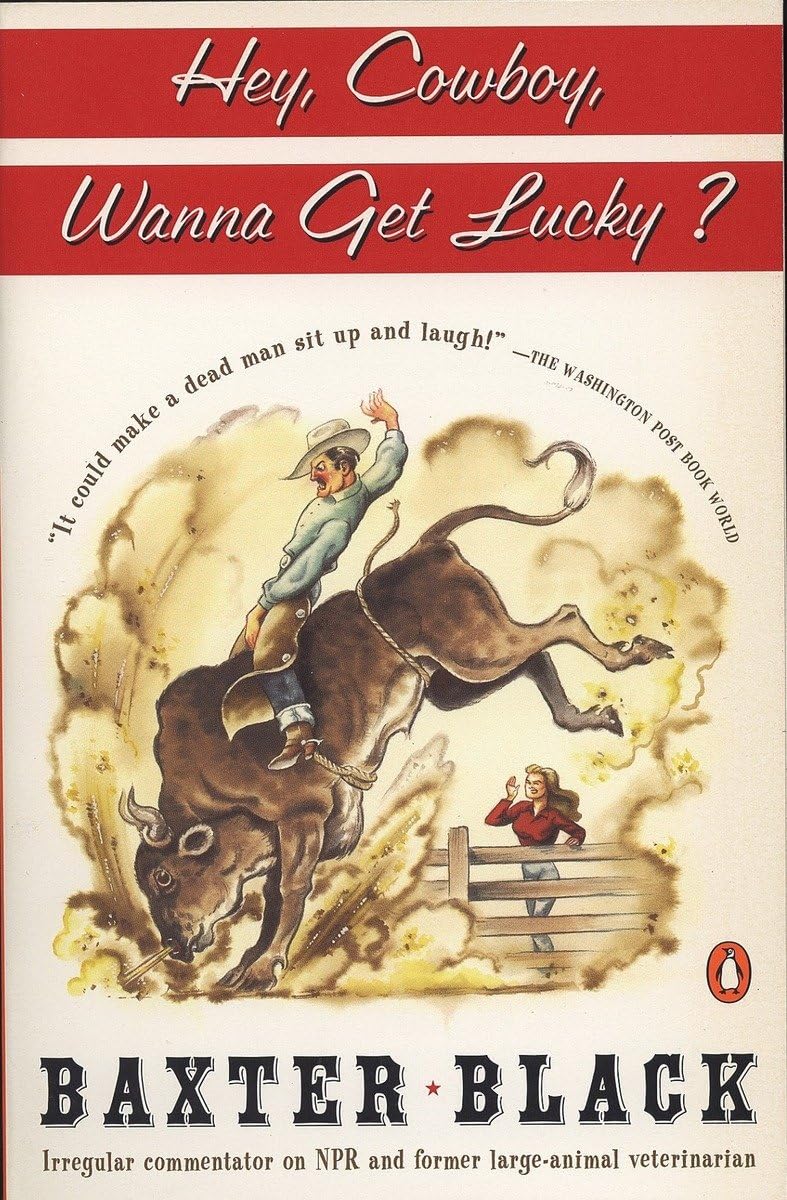 Hey Cowboy, Wanna Get Lucky? used book depot