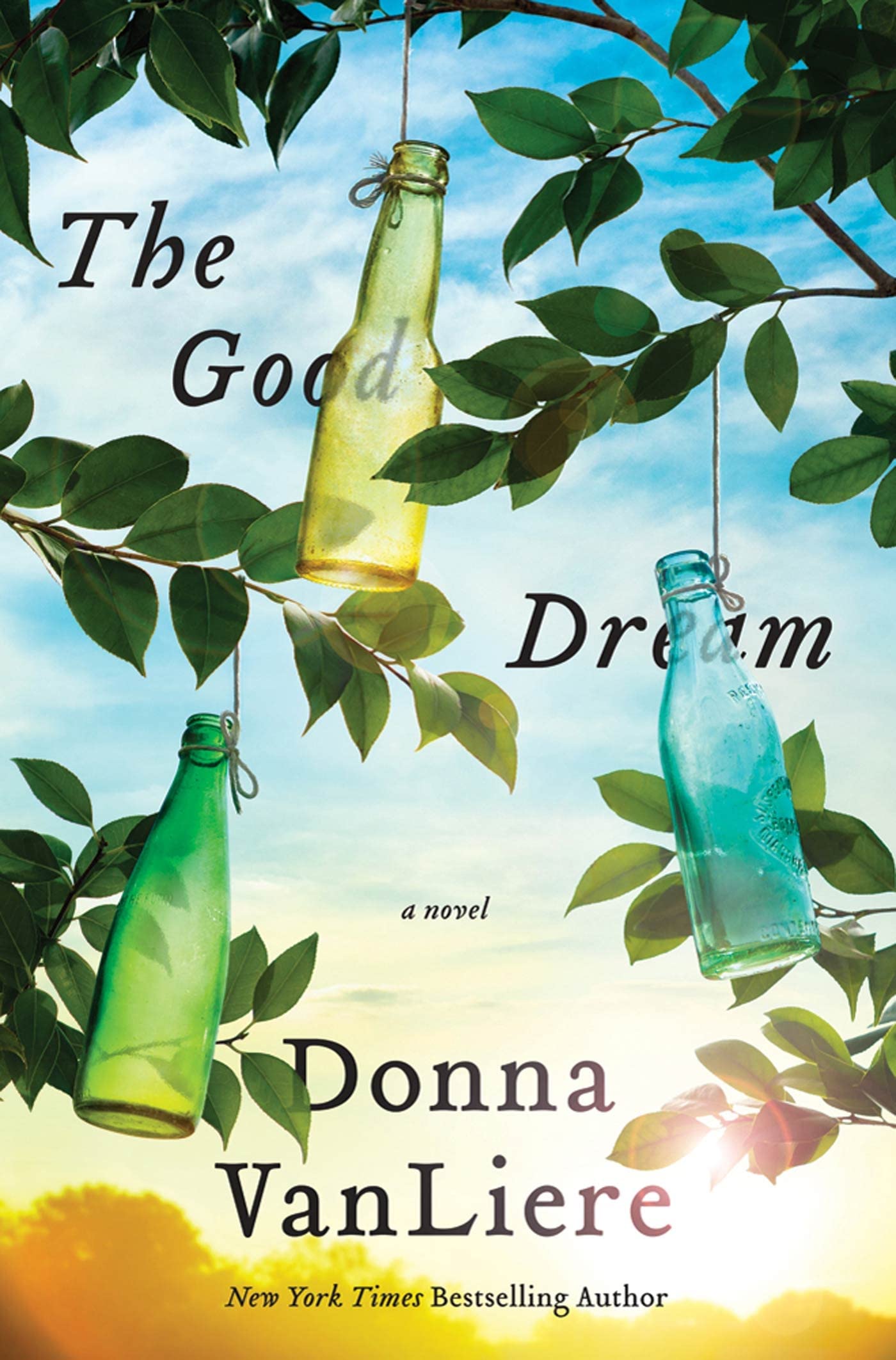 The Good Dream: A Novel used book depot