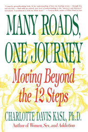 Many Roads One Journey: Moving Beyond the 12 Steps used book depot