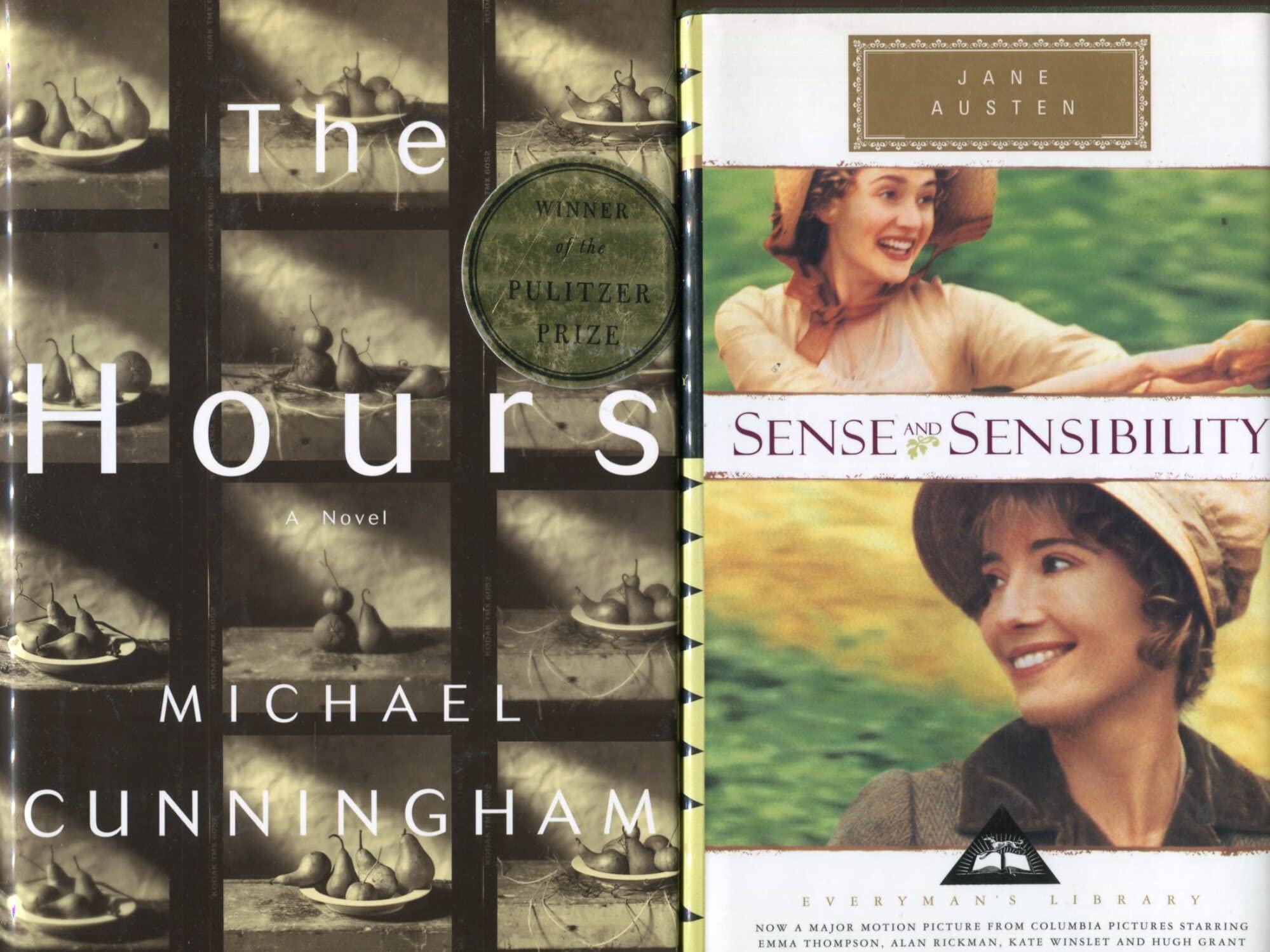 The Hours: A Novel used book depot