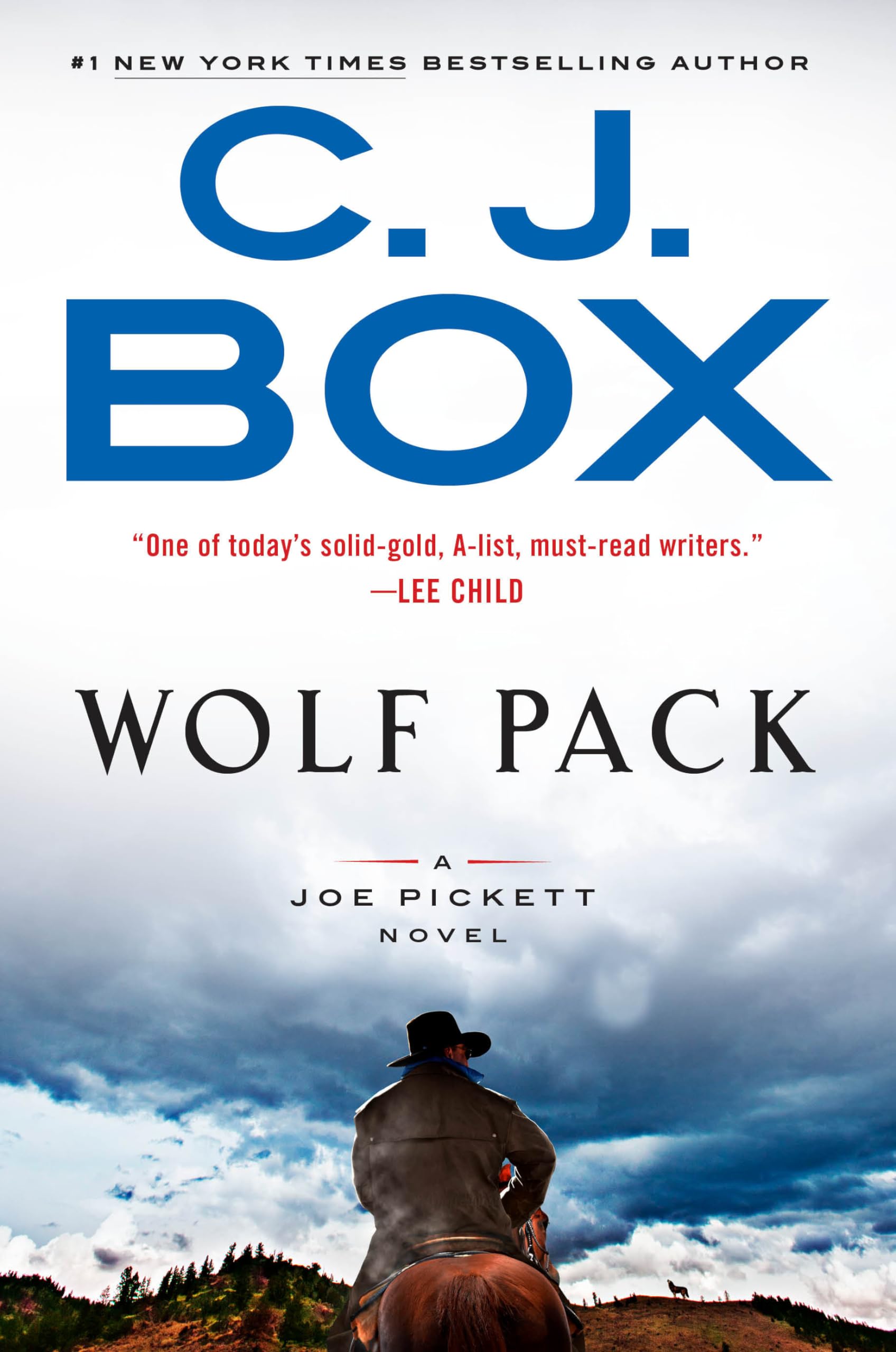 Wolf Pack (A Joe Pickett Novel) used book depot