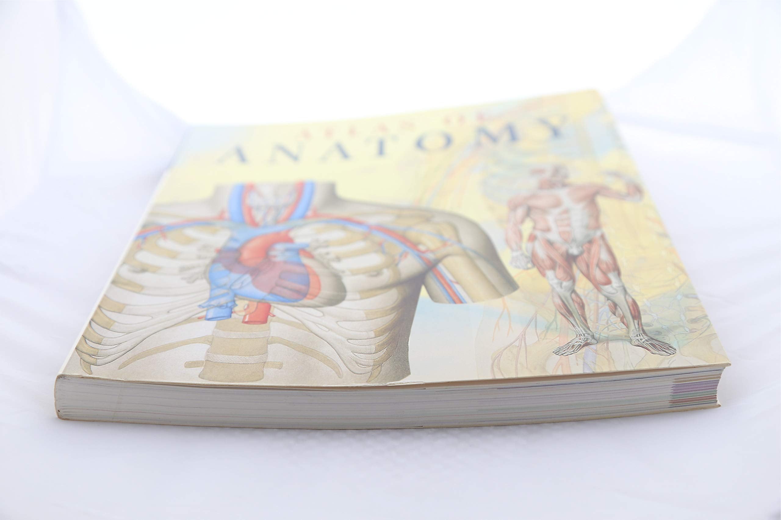 Atlas of Anatomy used book depot