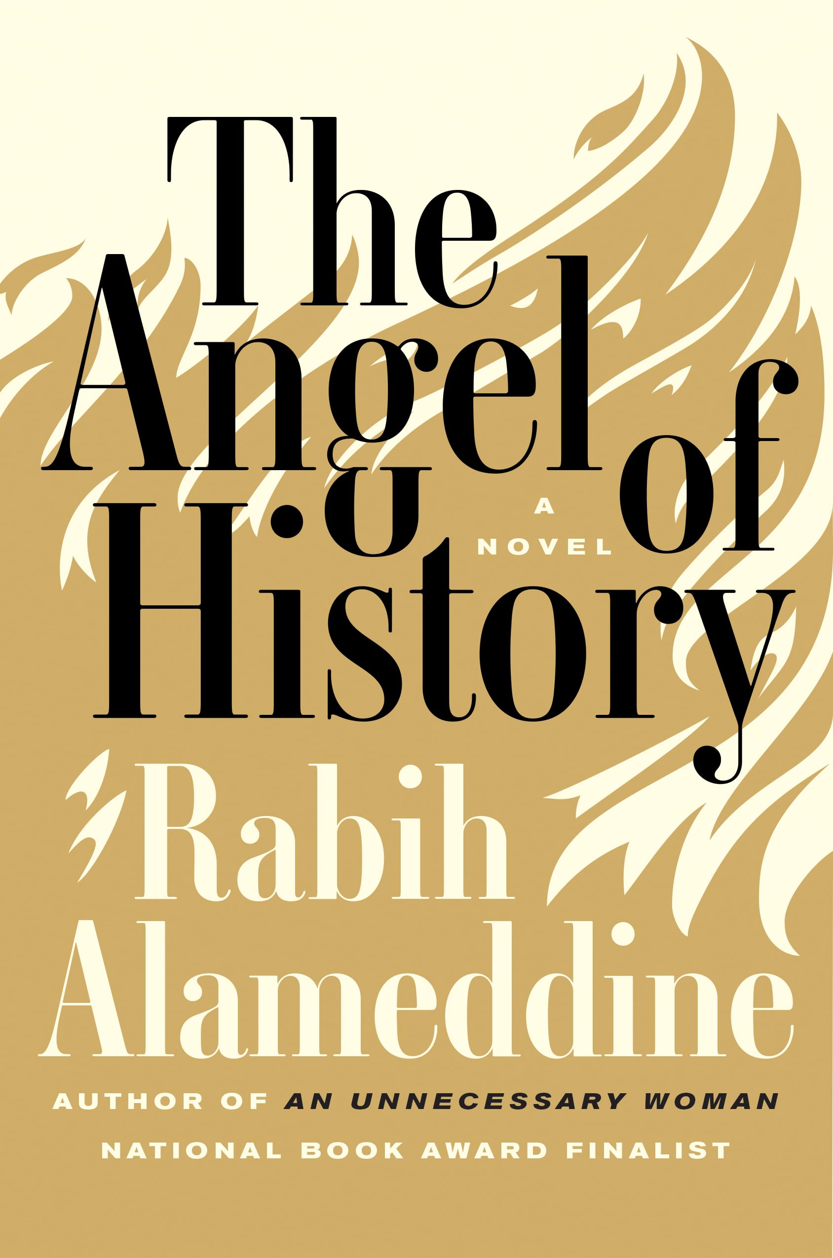 The Angel of History: A Novel used book depot