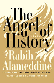 The Angel of History: A Novel used book depot