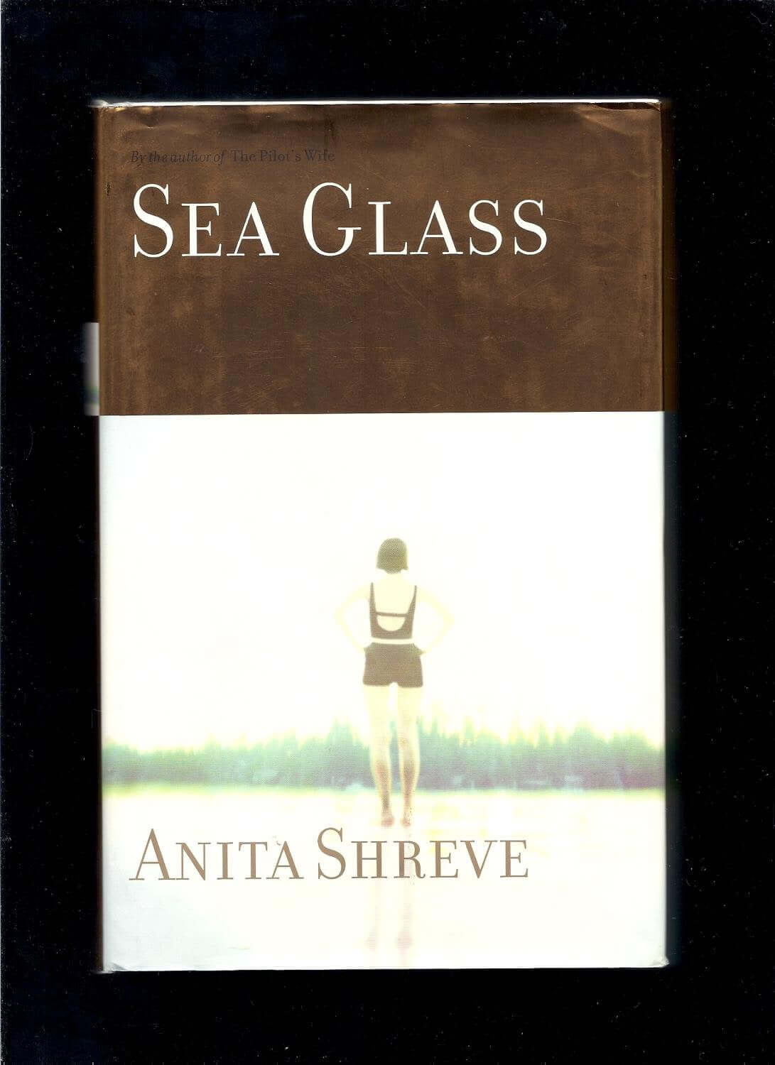 Sea Glass: A Novel used book depot