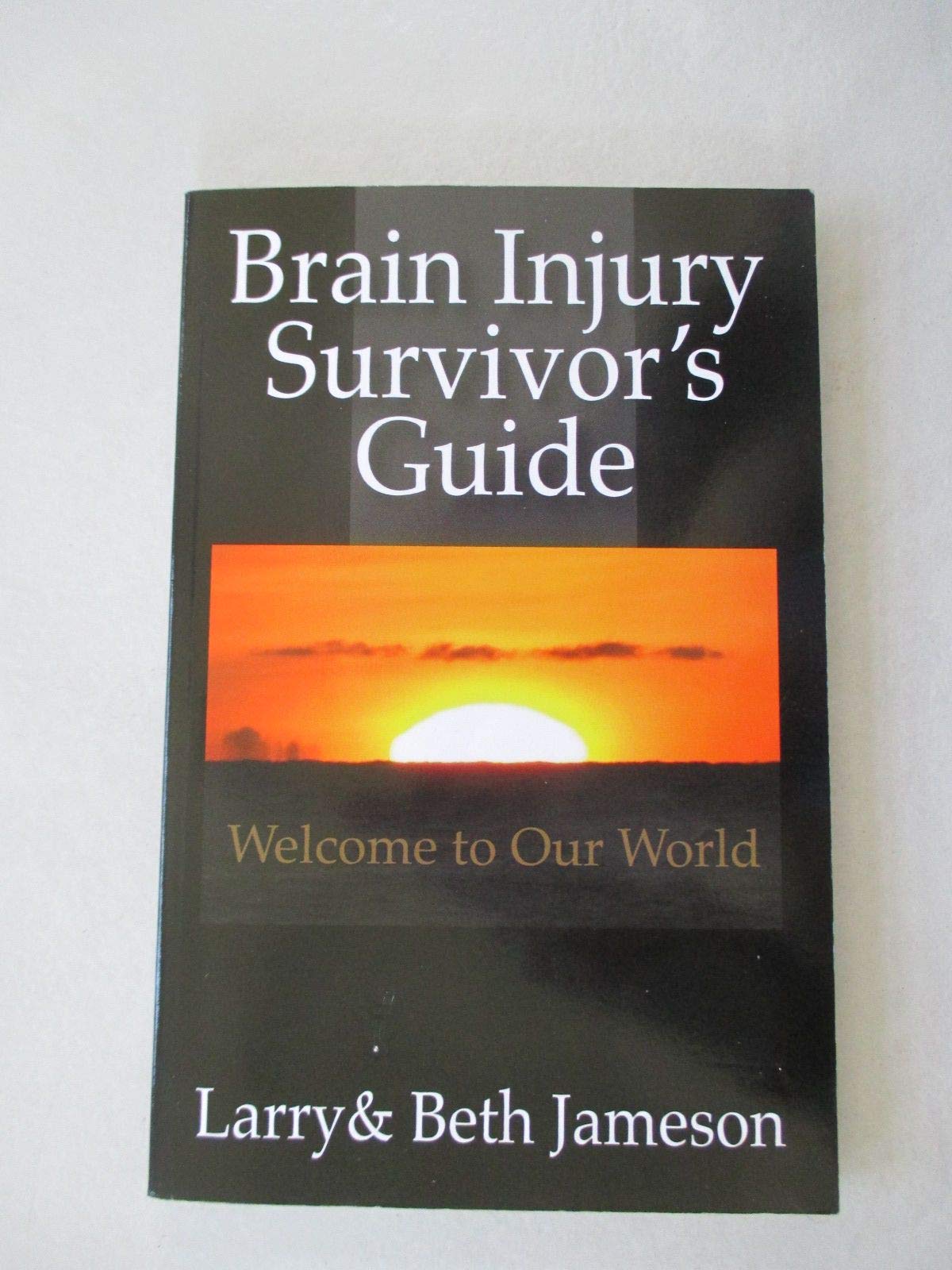 Brain Injury Survivor's Guide: Welcome to Our World used book depot