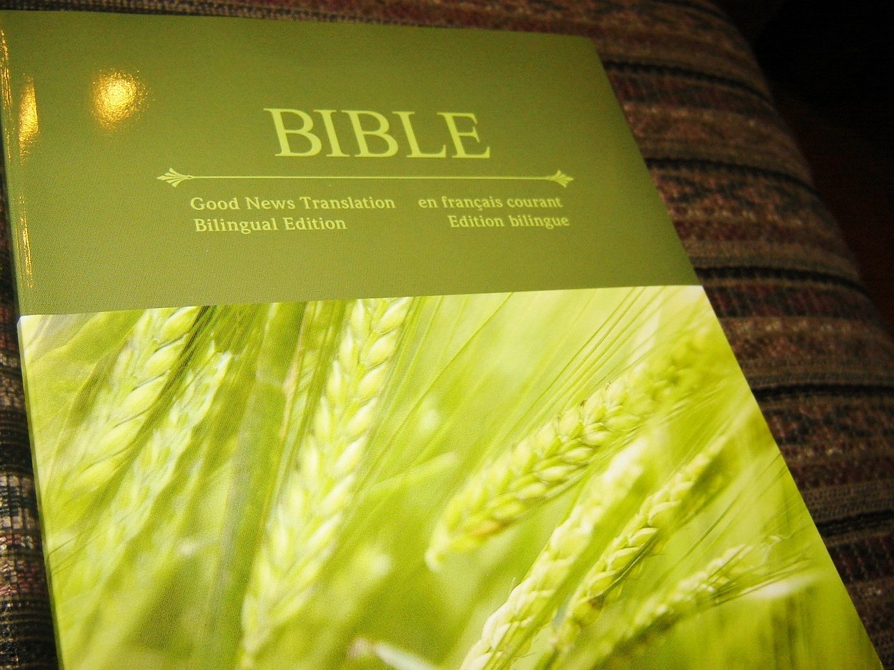 English - French Diglot Bible / Good News Translation - en Francais courant / Edition Bilingue / Bilingual Large Format Special Harvest Edition / SB1112 used book depot