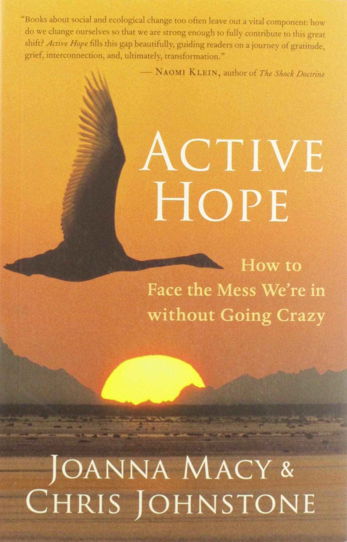 Active Hope: How to Face the Mess We're in without Going Crazy used book depot