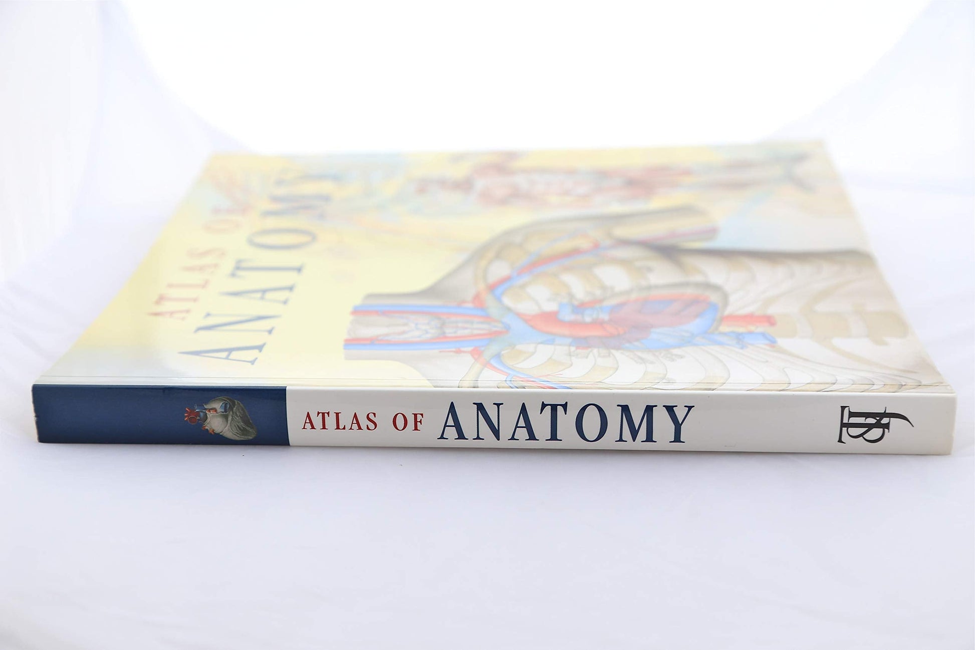 Atlas of Anatomy used book depot