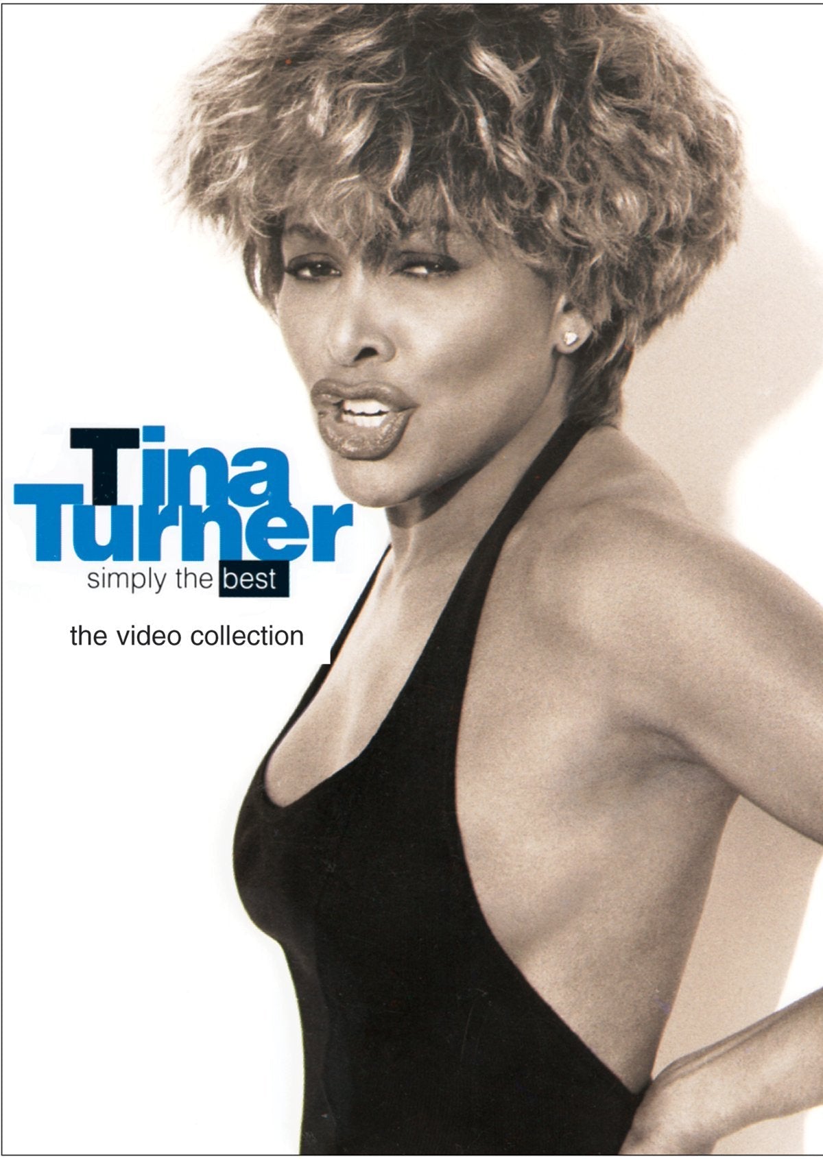 Tina Turner - Simply the Best used book depot