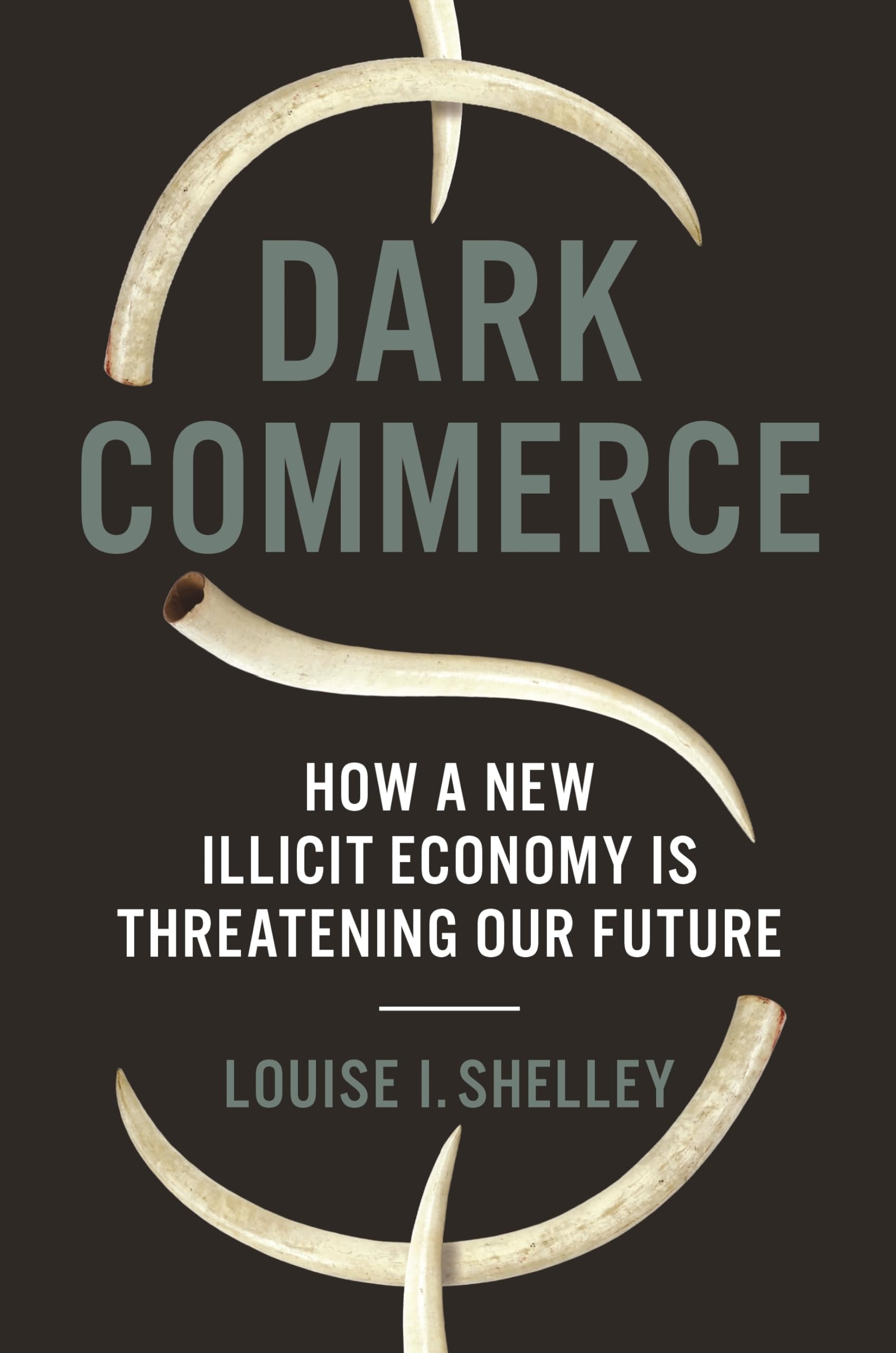 Dark Commerce: How a New Illicit Economy Is Threatening Our Future used book depot
