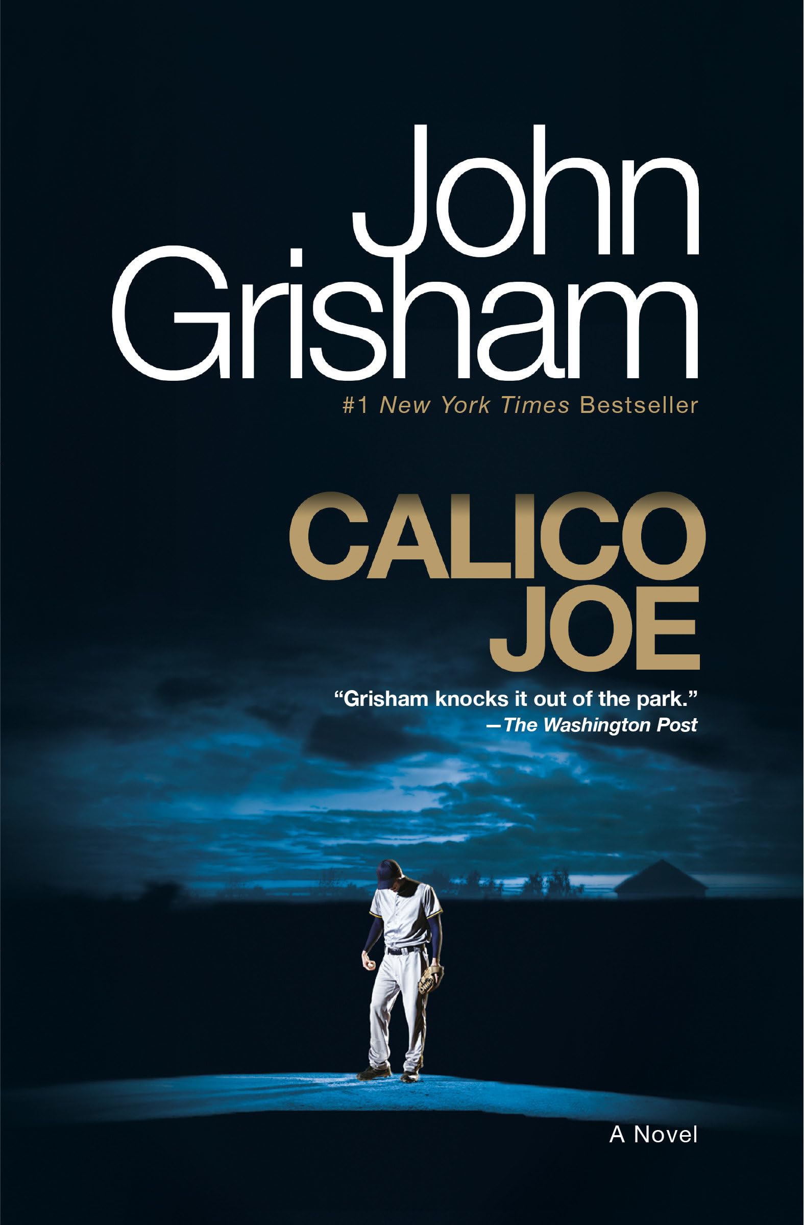 Calico Joe: A Novel used book depot
