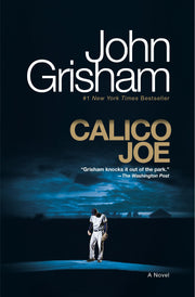 Calico Joe: A Novel used book depot
