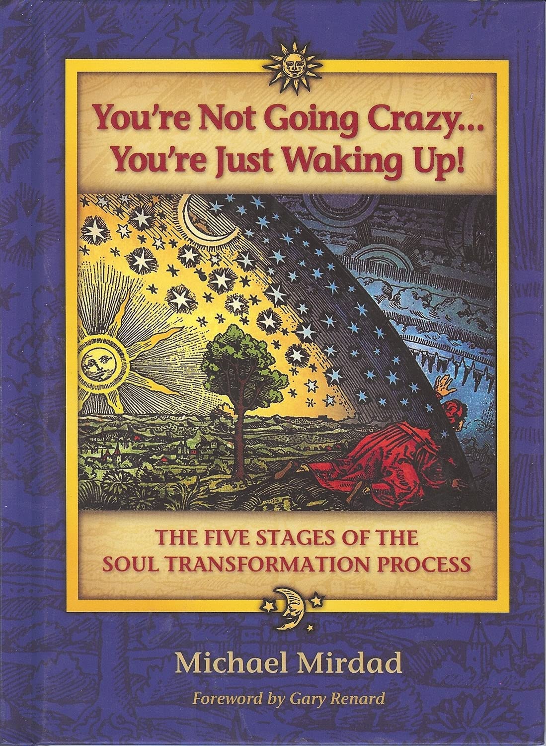 You're Not Going Crazy...You're Just Waking Up! The Five Stages of Soul Transformation Process used book depot