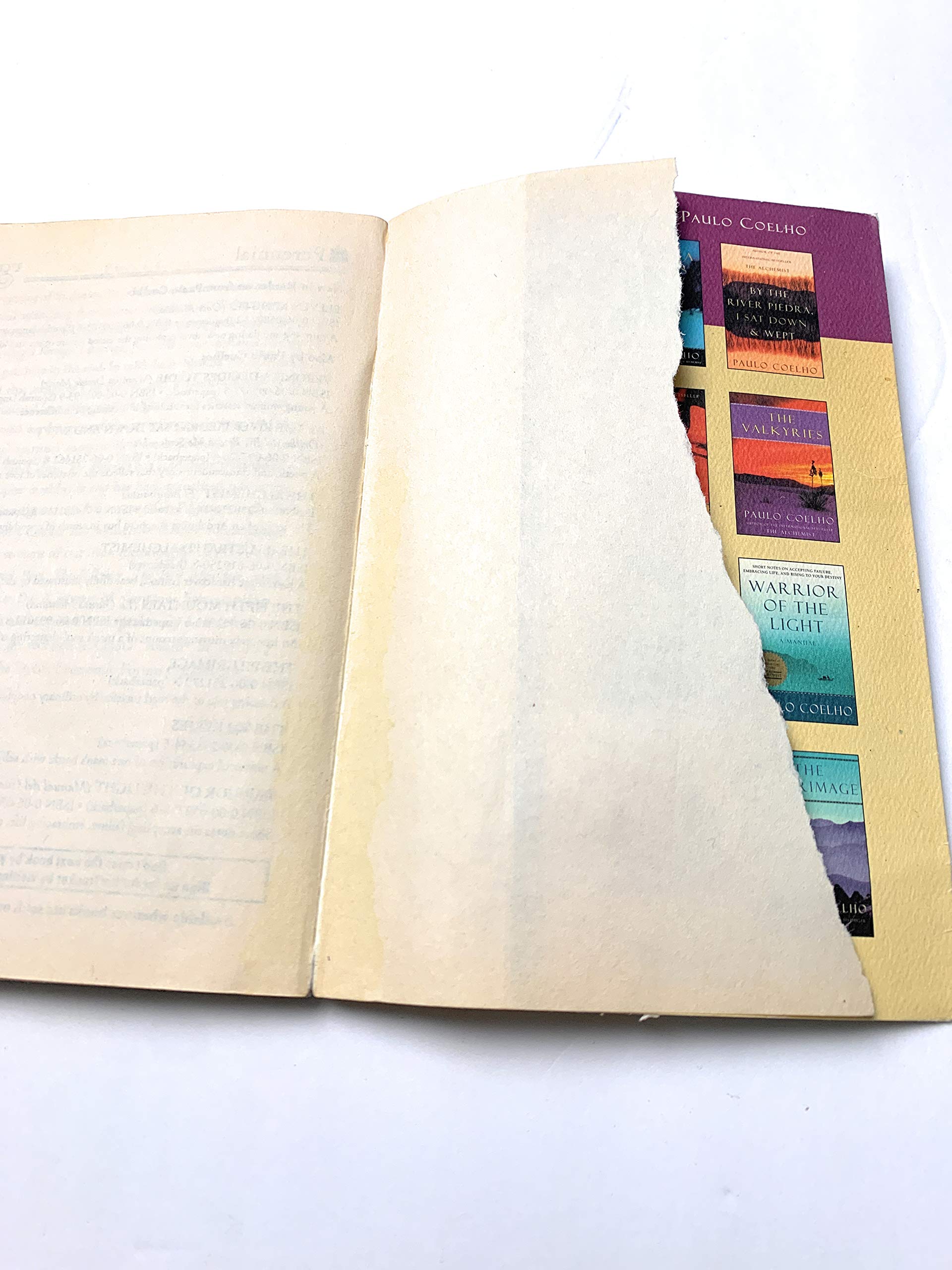The Alchemist: A Fable About Following Your Dream used book depot