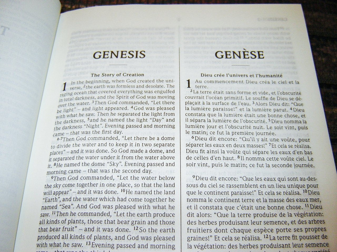 English - French Diglot Bible / Good News Translation - en Francais courant / Edition Bilingue / Bilingual Large Format Special Harvest Edition / SB1112 used book depot