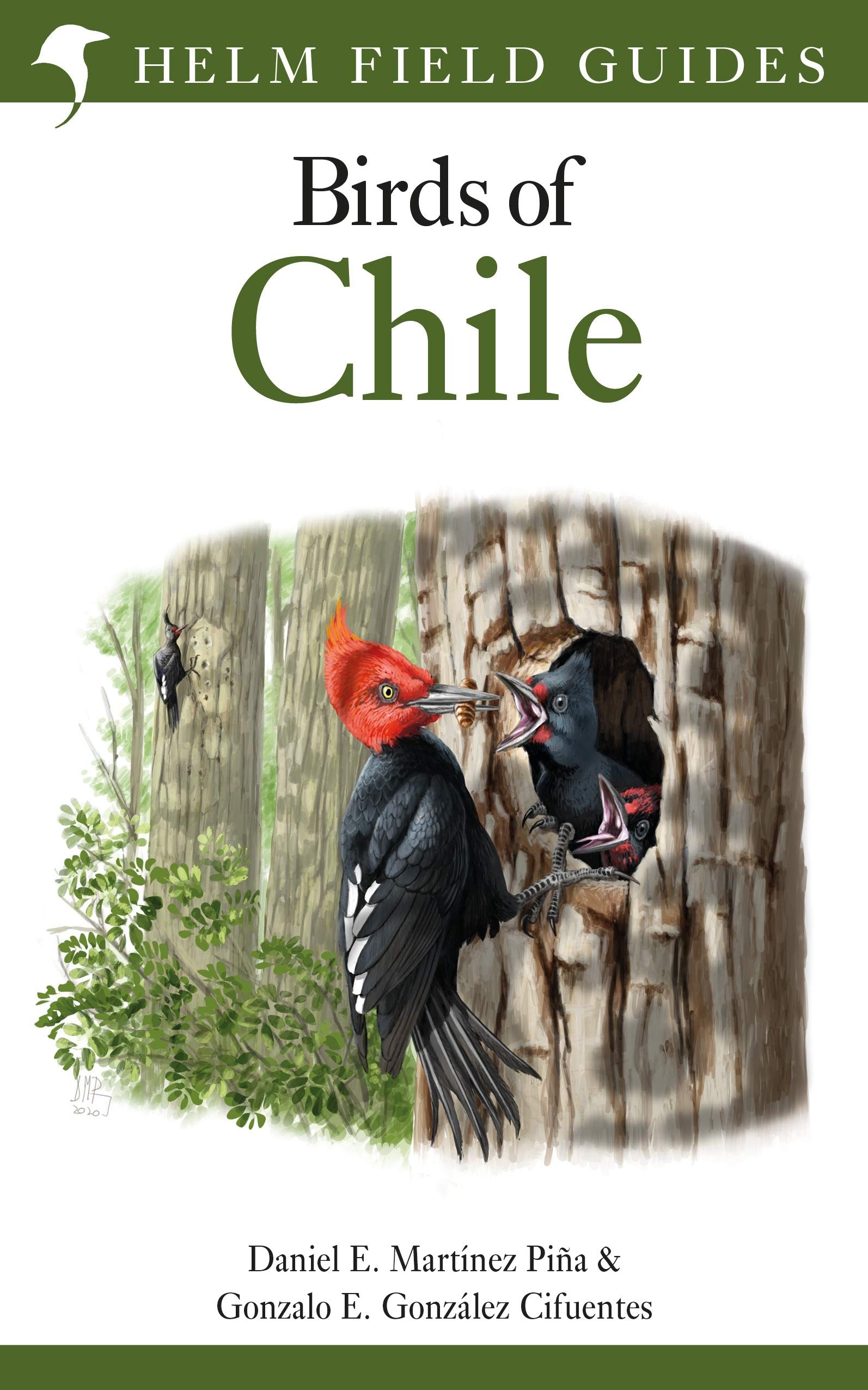 Field Guide to the Birds of Chile (Helm Field Guides) used book depot