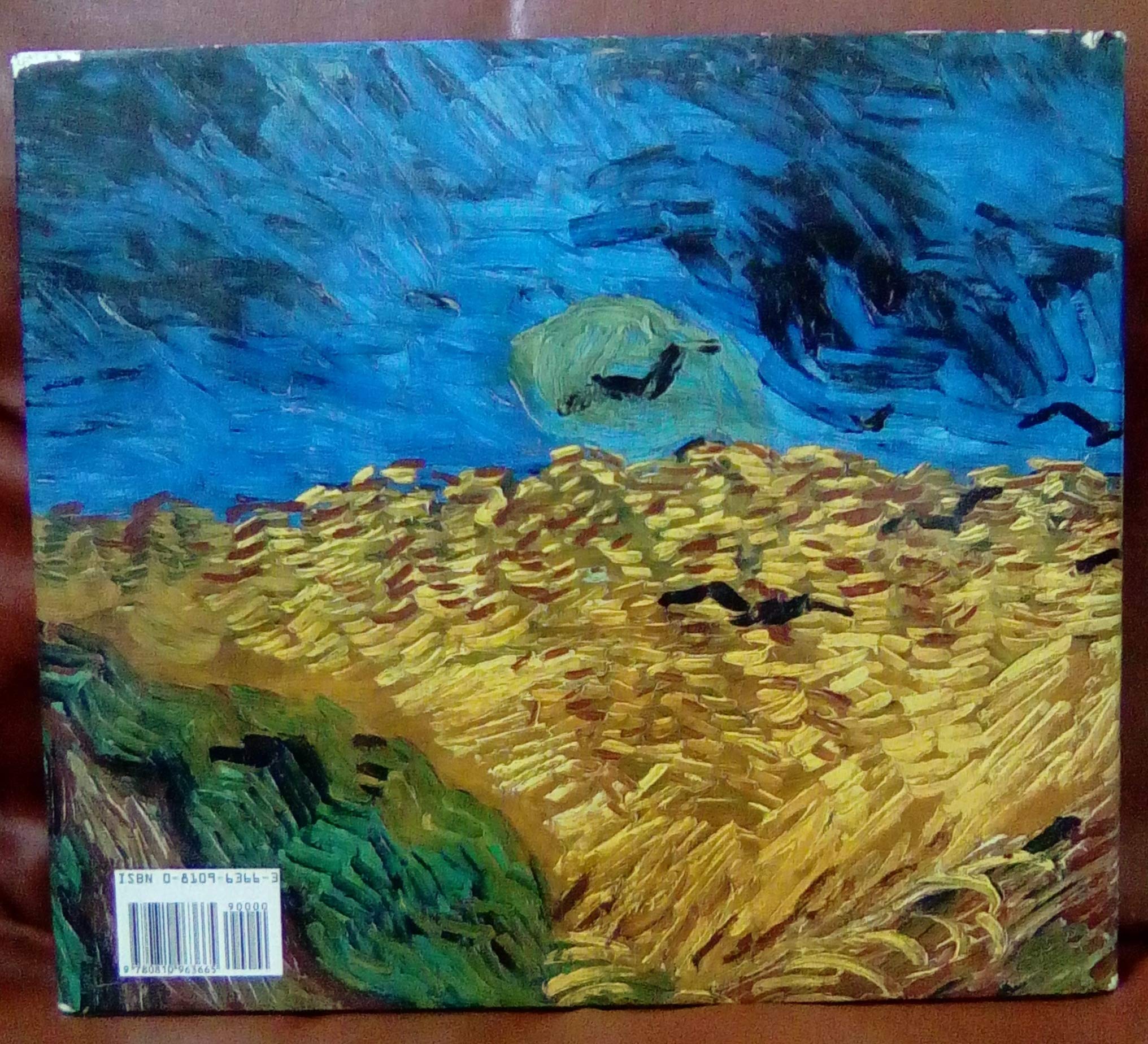 Van Gogh's Van Goghs used book depot