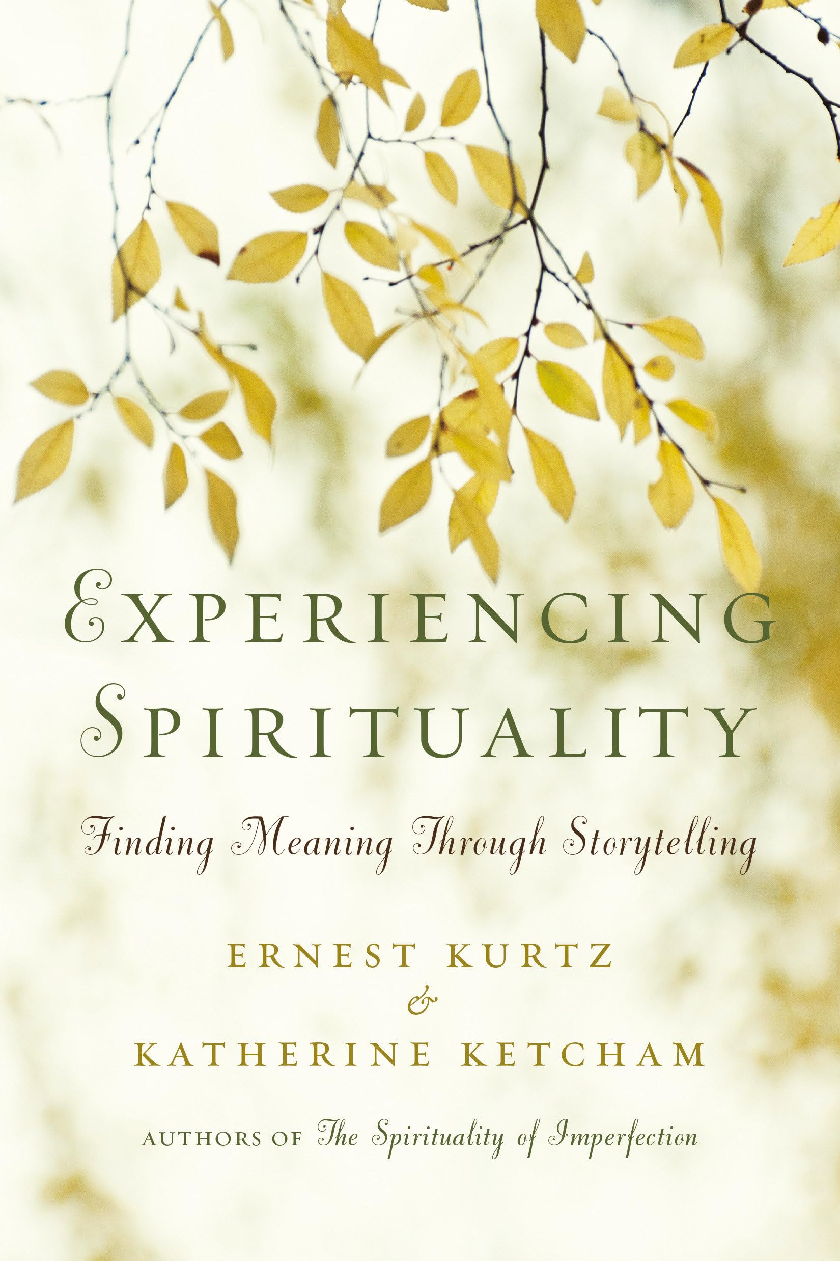 Experiencing Spirituality: Finding Meaning Through Storytelling used book depot